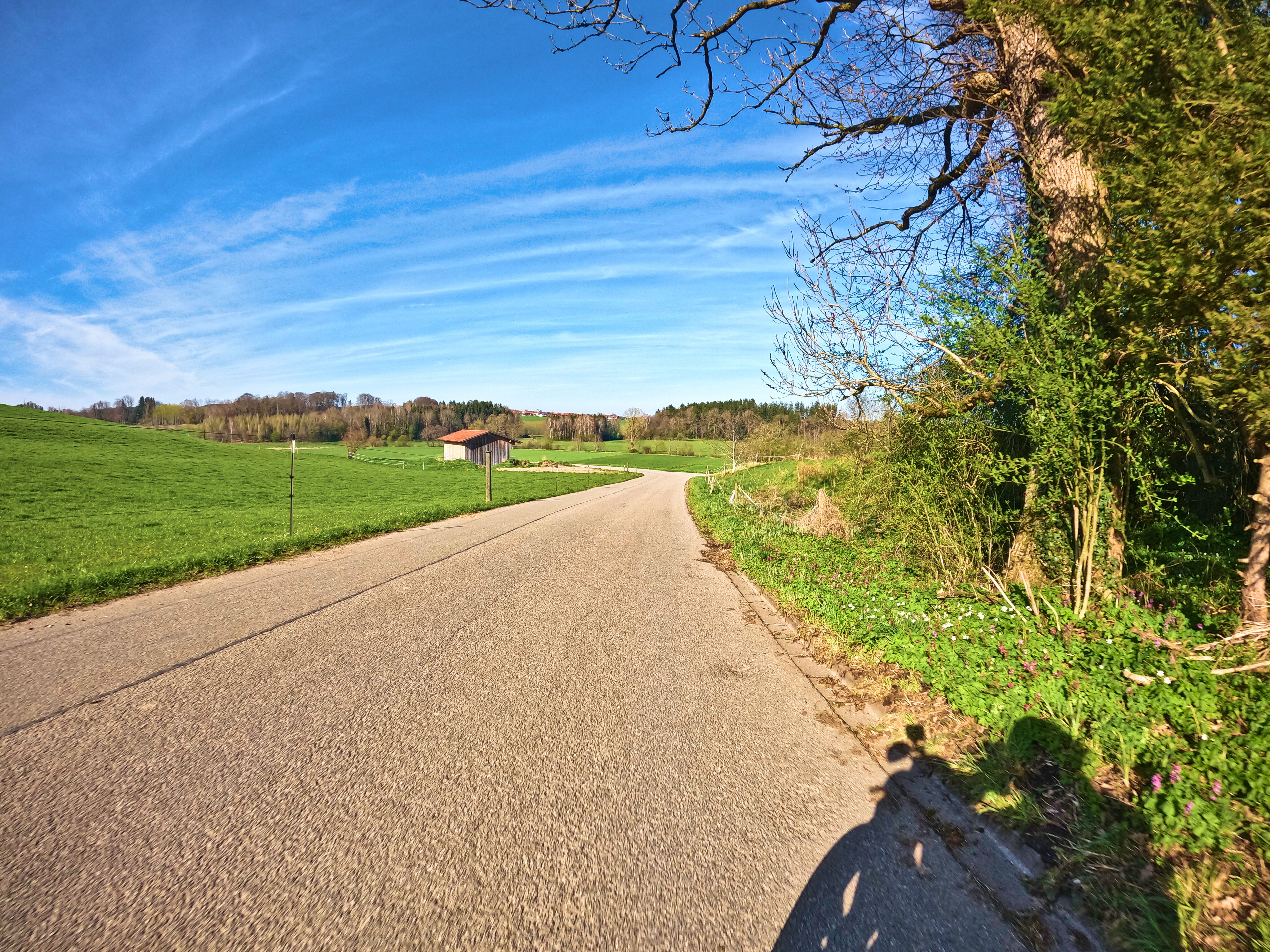 So ruhig! Und rechts blüht es schon!