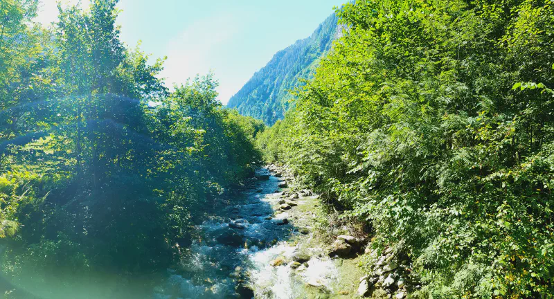 Featured image of post 23 Tage - 23 Bilder (2022) - Teil 18