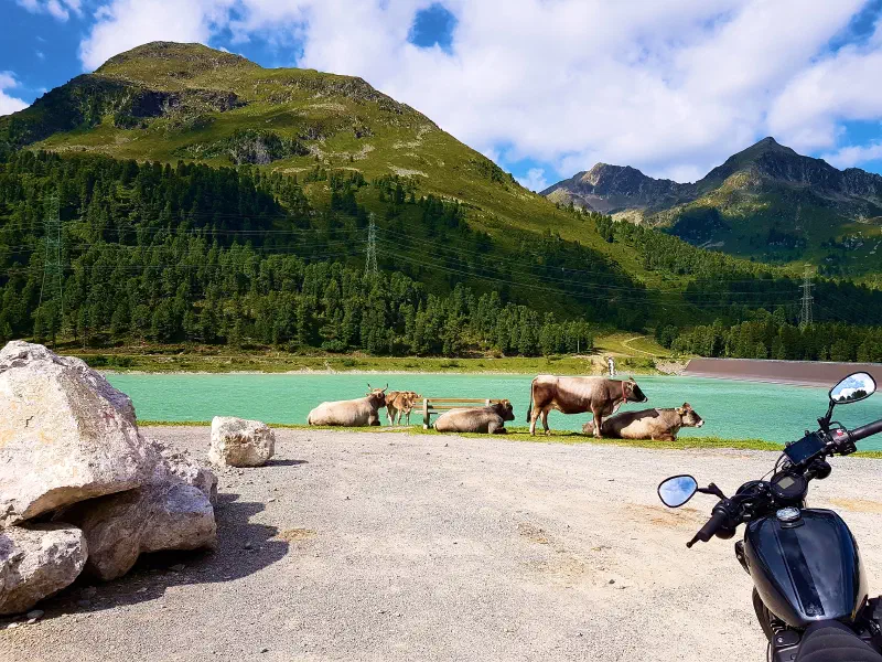 Featured image of post 23 Tage - 23 Bilder (2022) - Teil 22