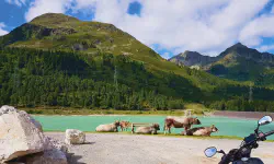 Featured image of post 23 Tage - 23 Bilder (2022) - Teil 22