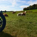 23 Tage - 23 Bilder (2022) - Teil 4