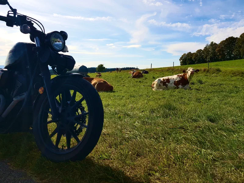 Featured image of post 23 Tage - 23 Bilder (2022) - Teil 4