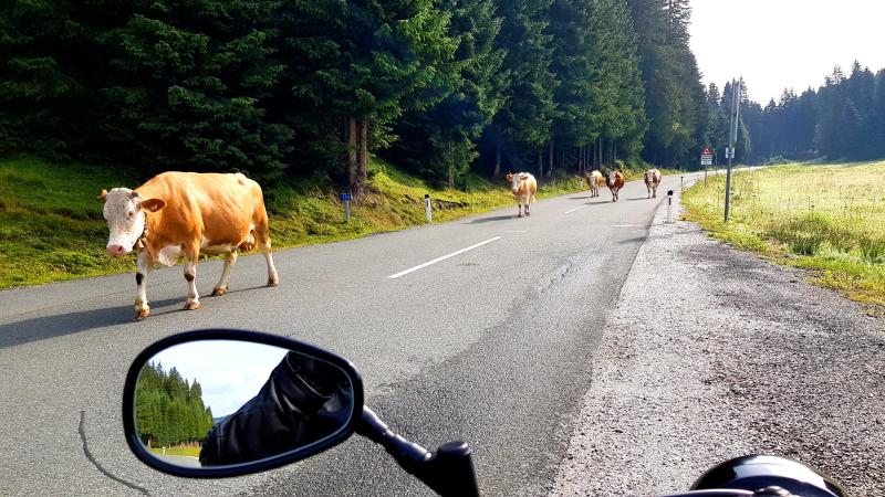 Featured image of post 23 Tage - 23 Bilder - Teil 15