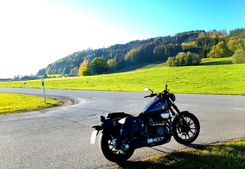 Fast gegen die Sonne fotografiert.