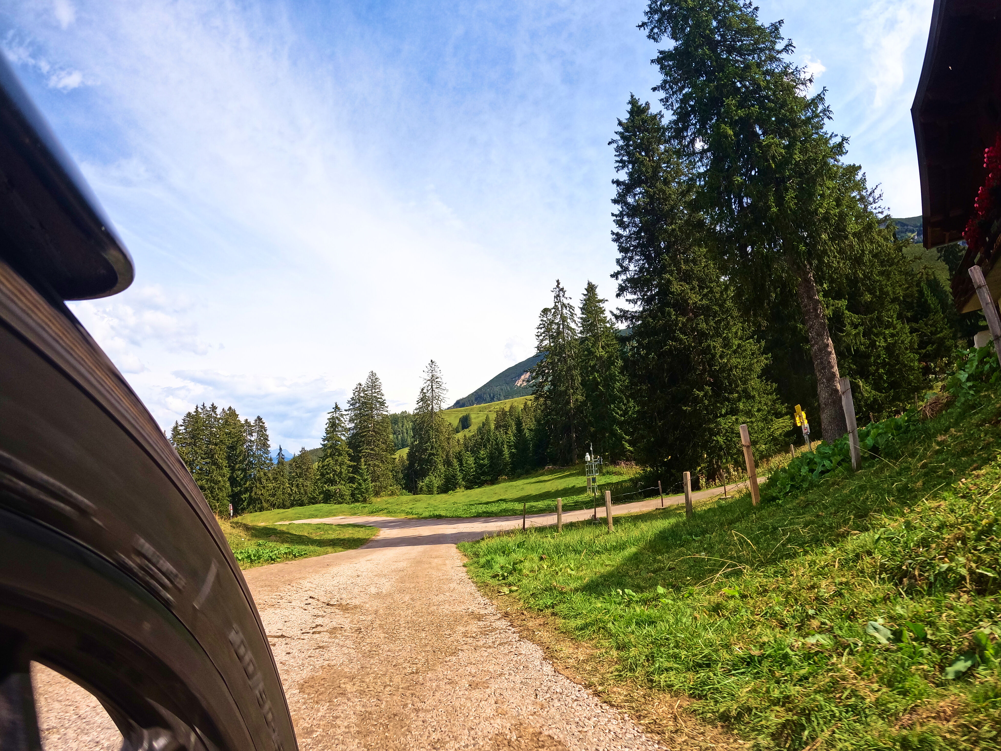 Ziemlich viel Kuhmist