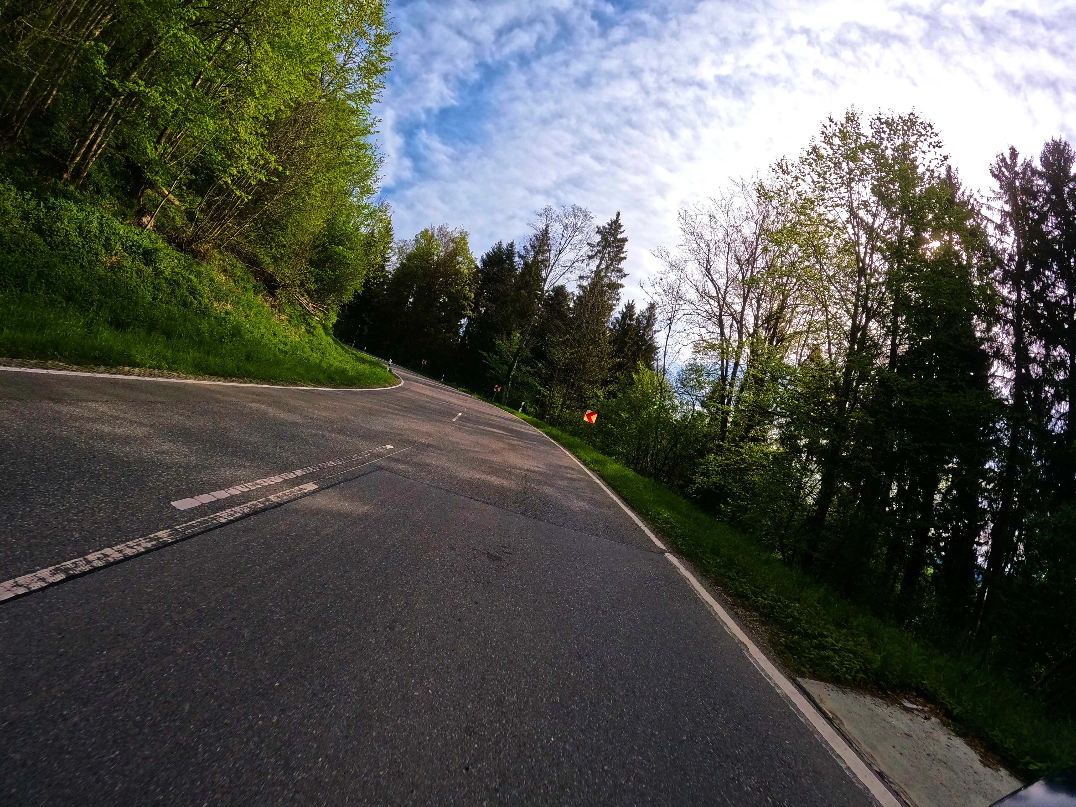 Kurvig durch Waldgebiete