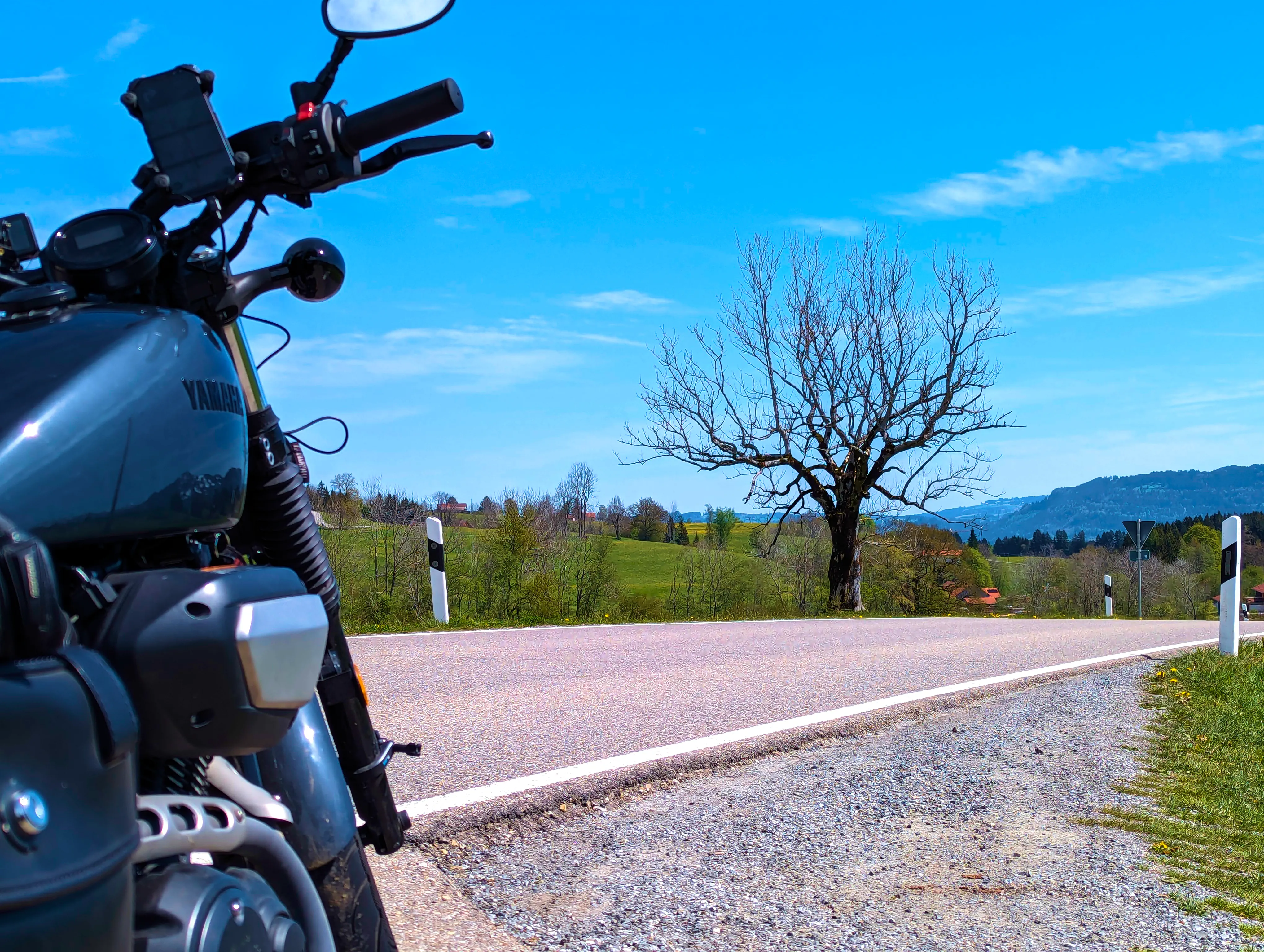 &hellip; schweifen &hellip;