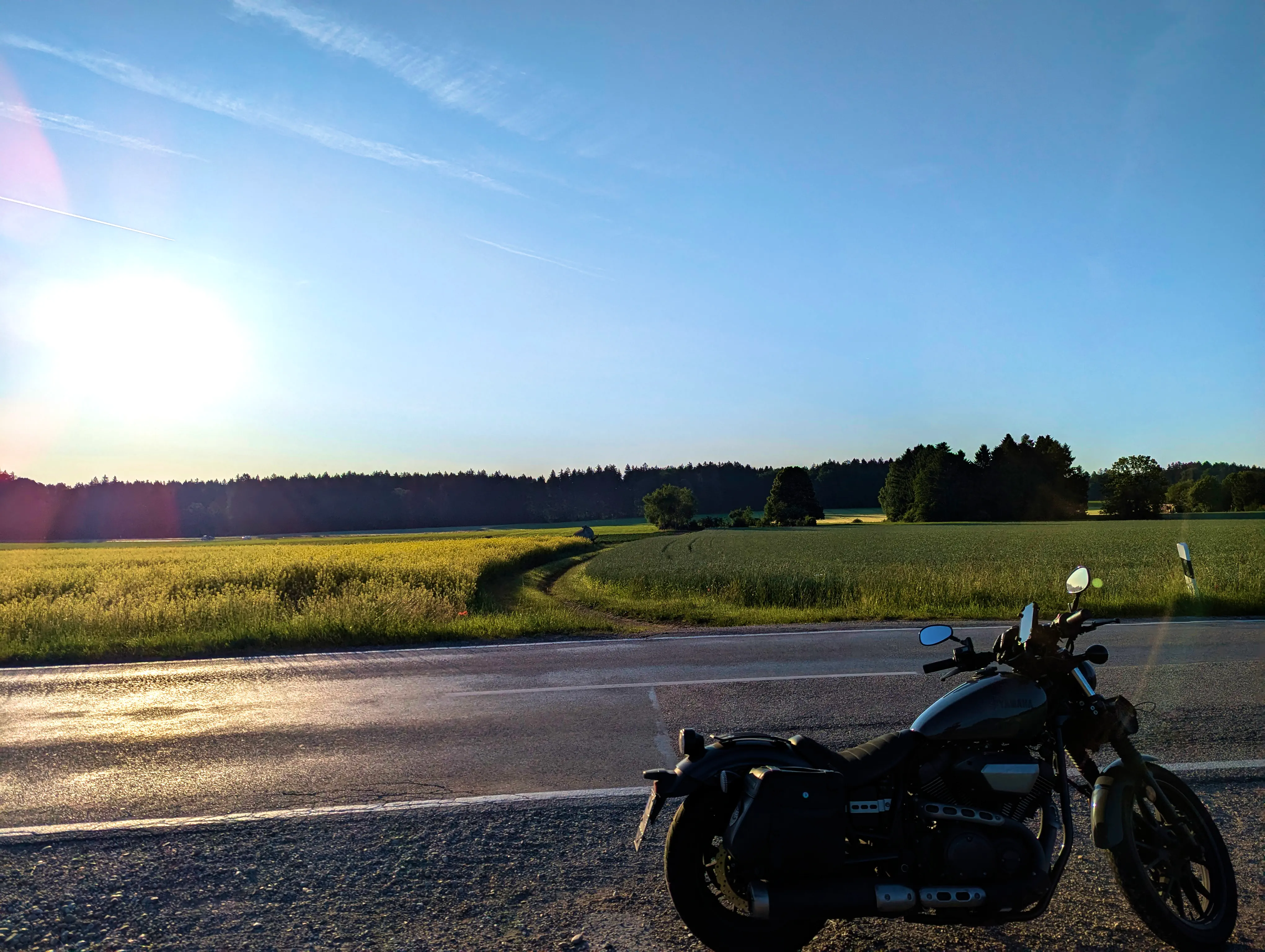 &hellip; am Straßenrand.