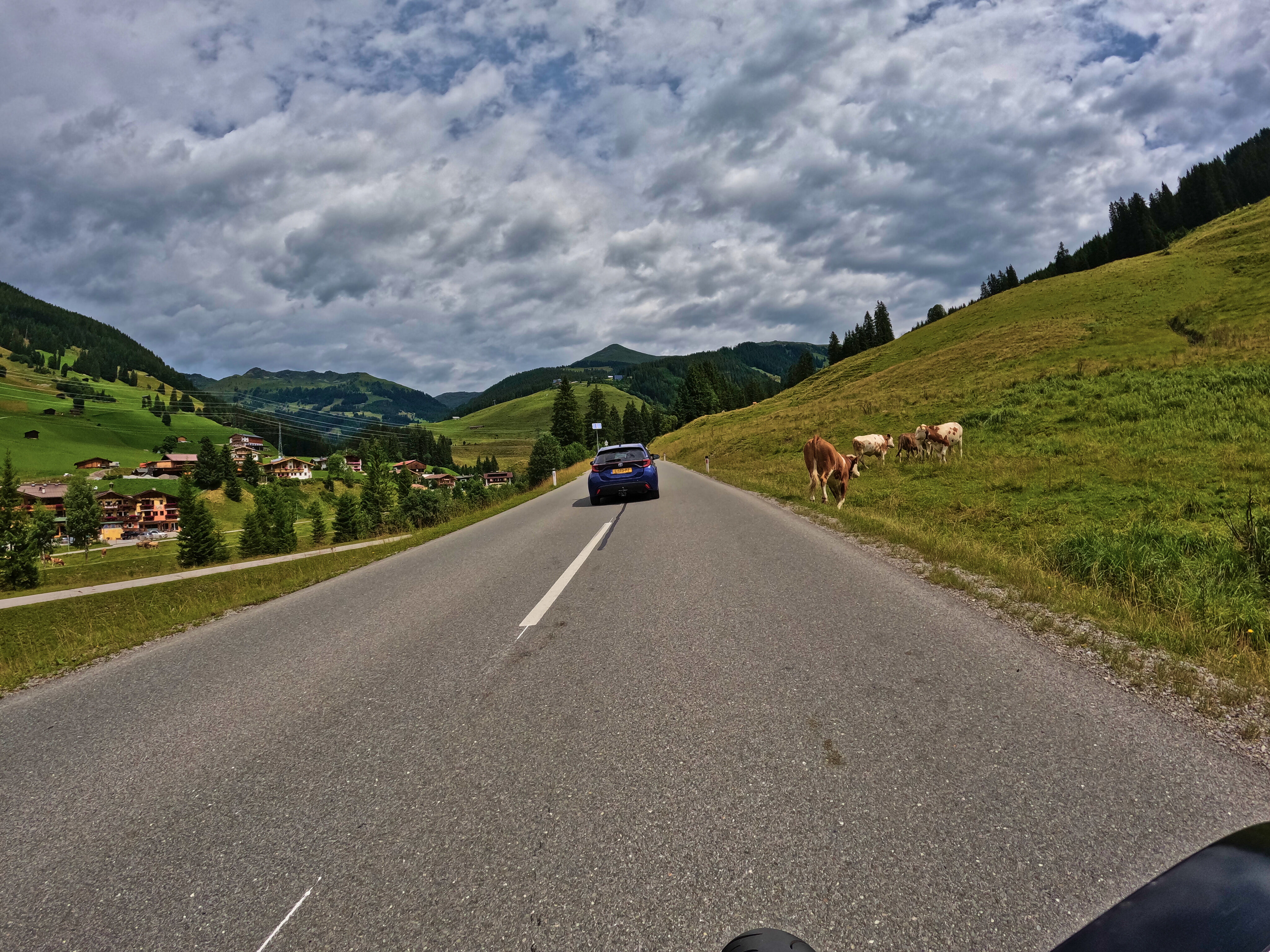 Ah, Straßenkühe standen im Weg.