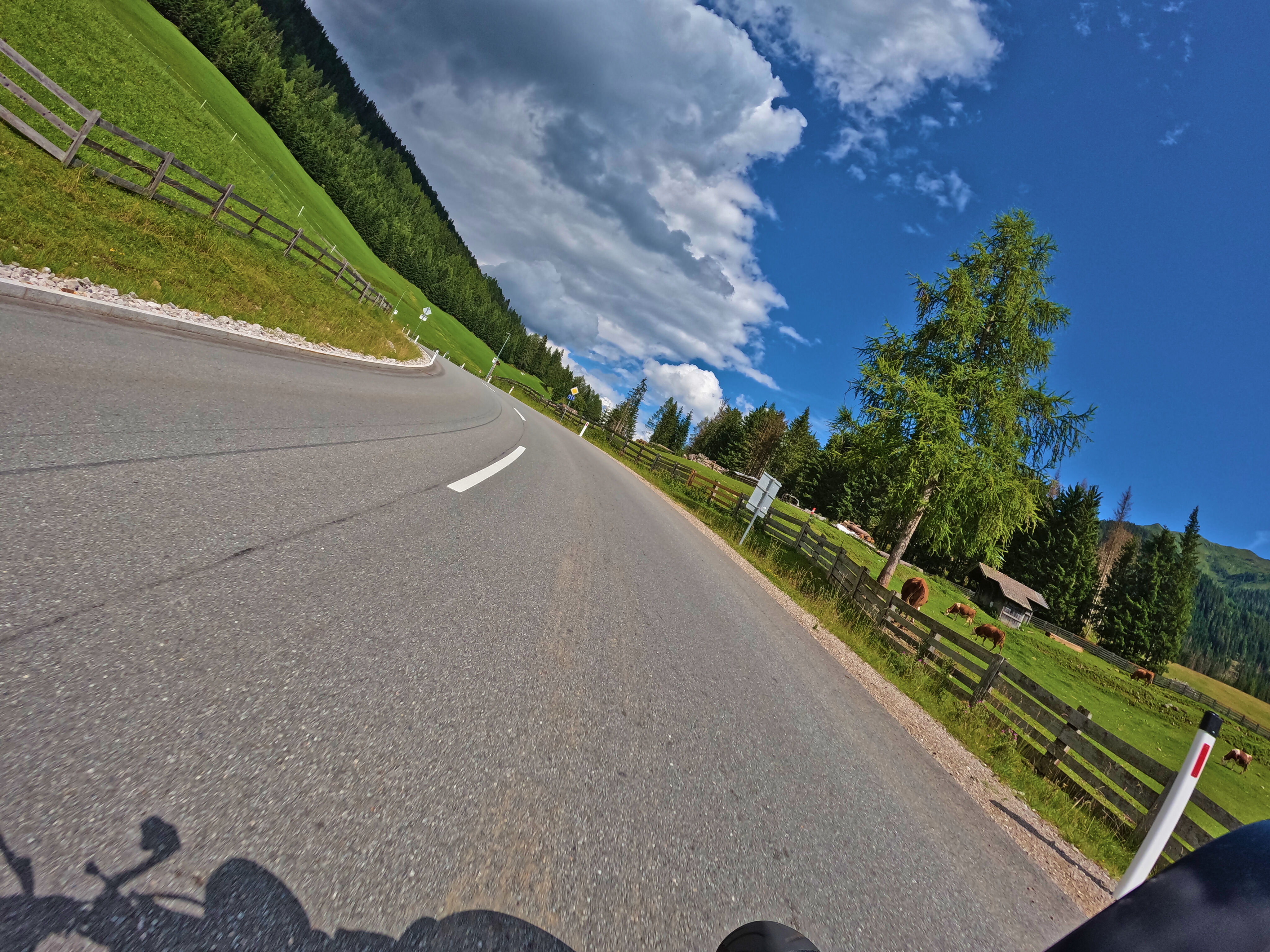 Halb grau, halb blau