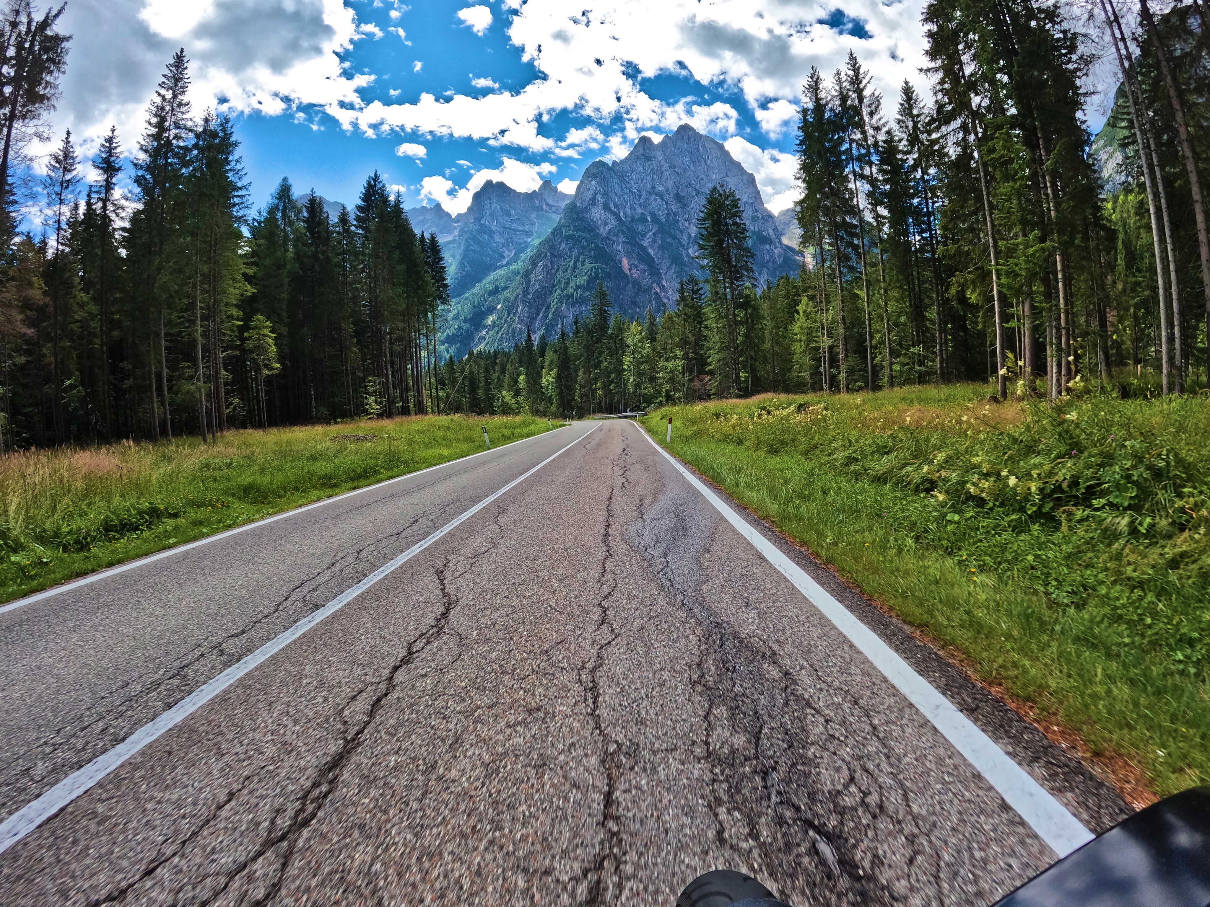 &hellip; viel Wald &hellip;