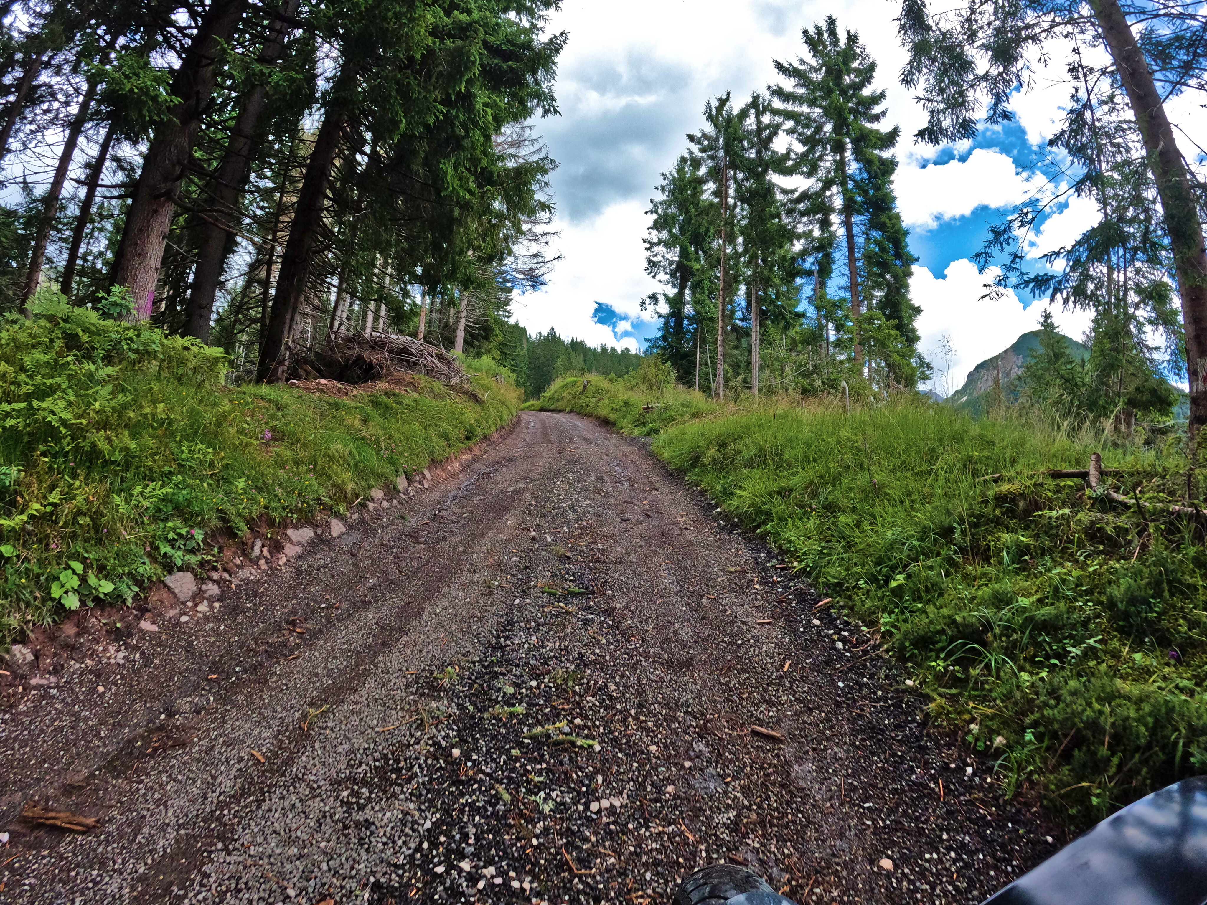 &hellip; beinahe kein Teer.