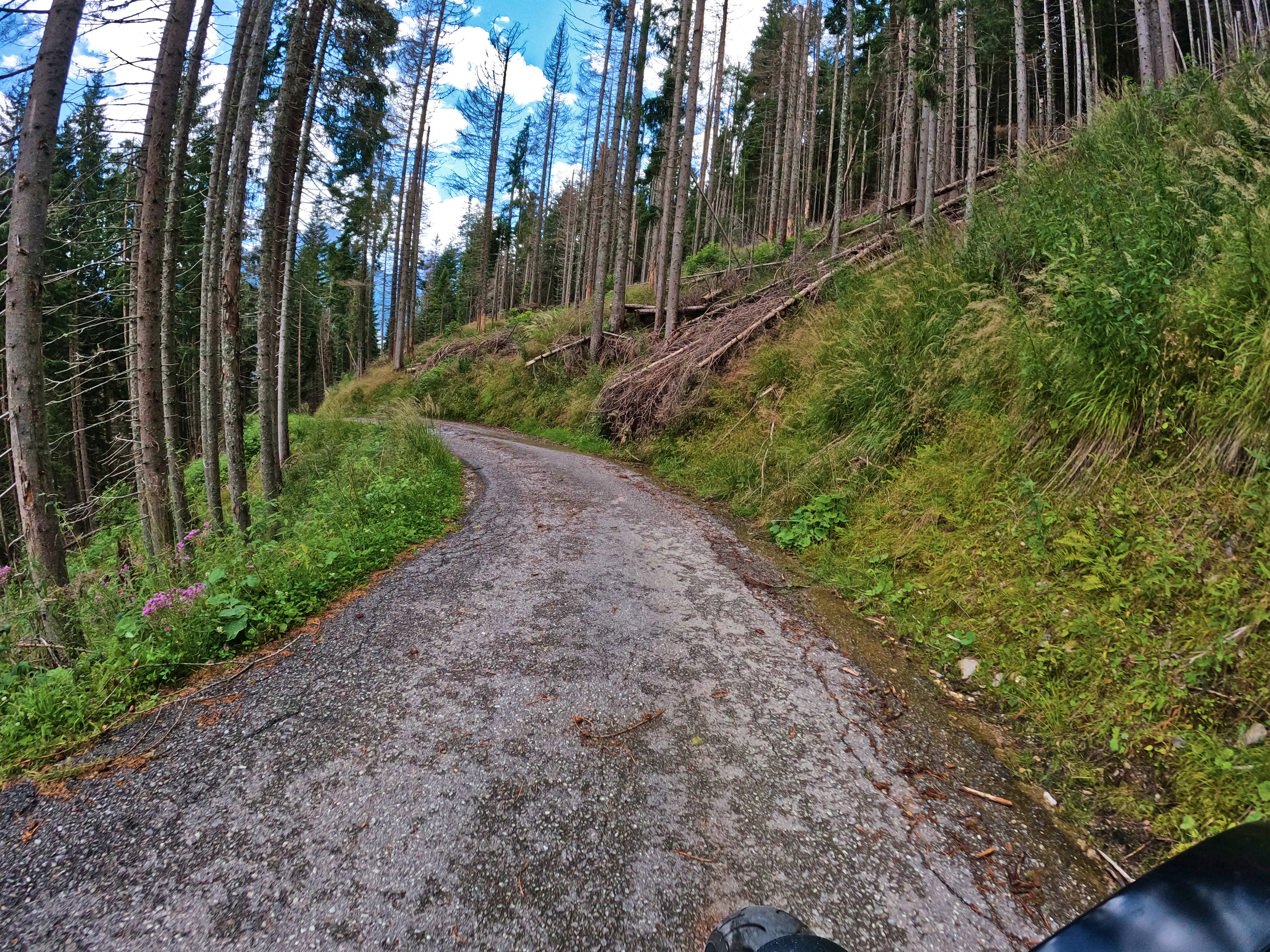 Besserung: Immerhin &hellip;