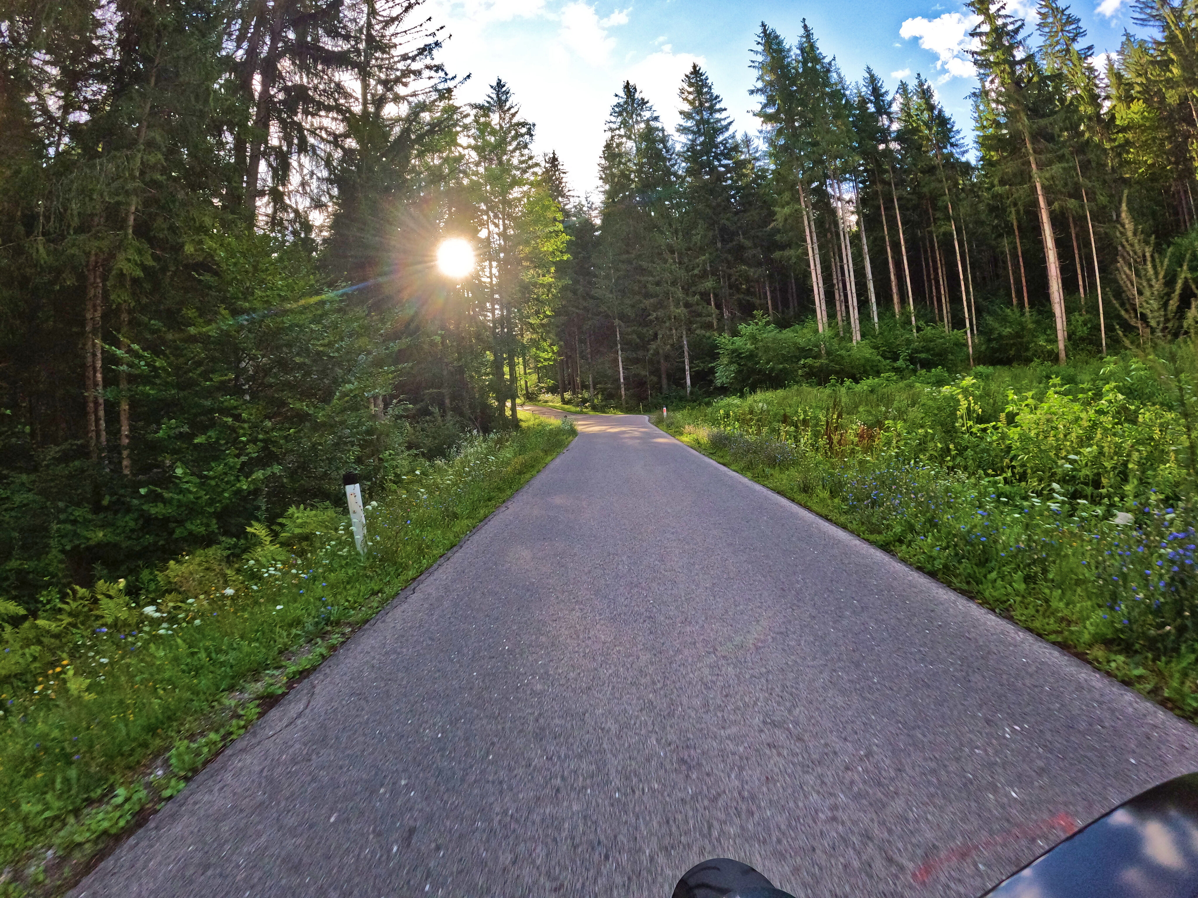 &hellip; und die Sonne blitzt durch den Wald.