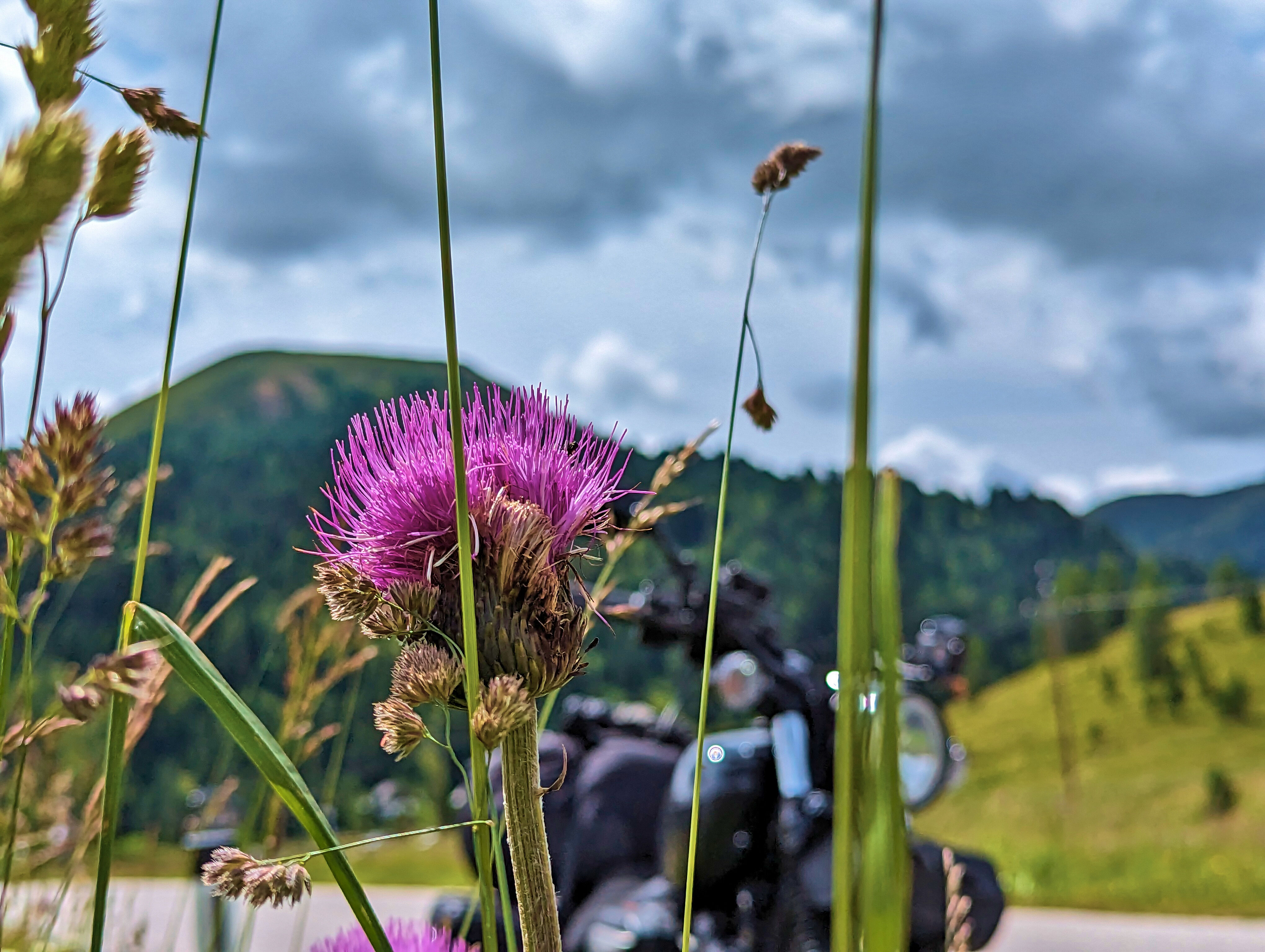 Fotos am Schönfelder Sattel