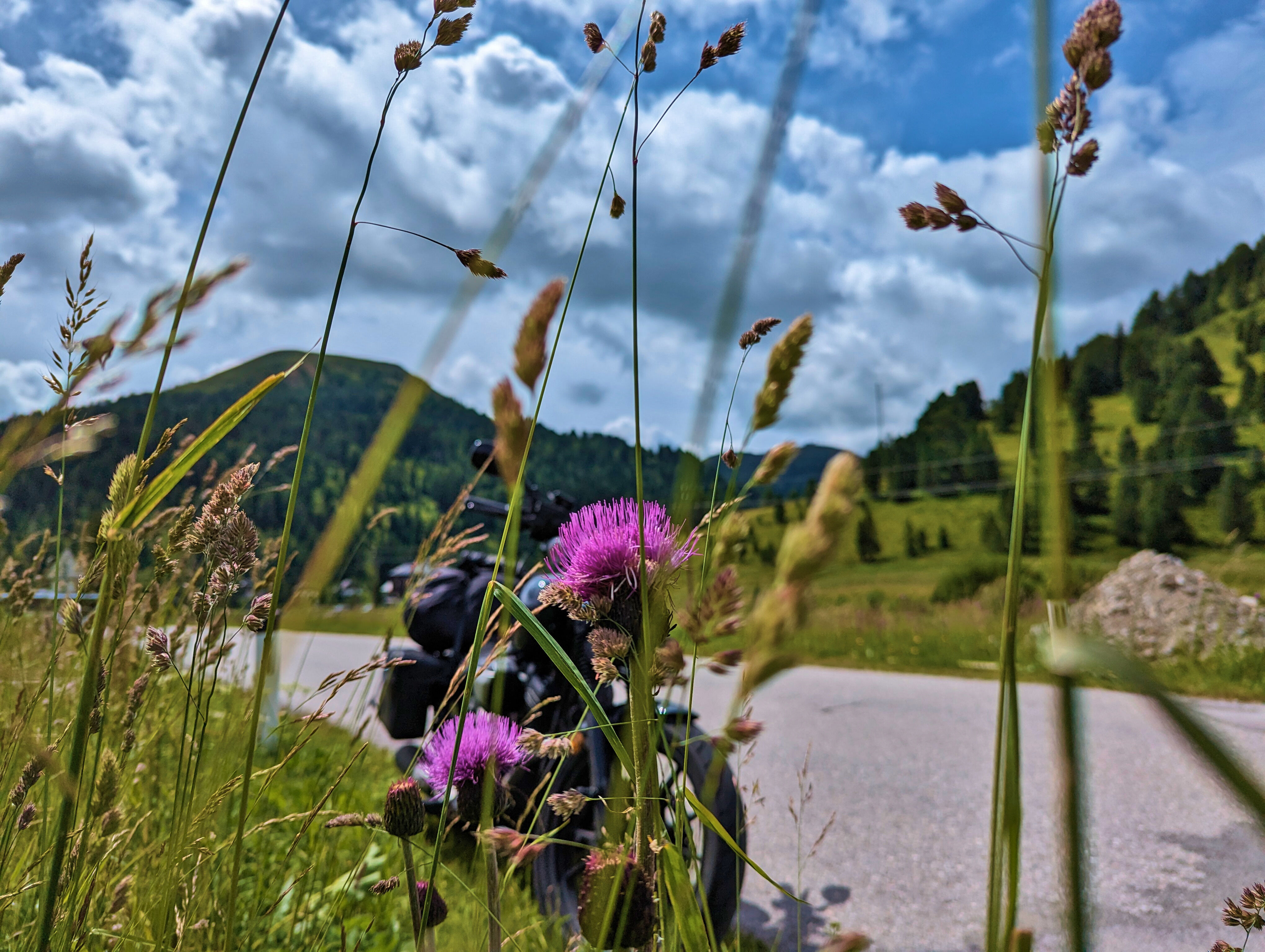 Fotos am Schönfelder Sattel