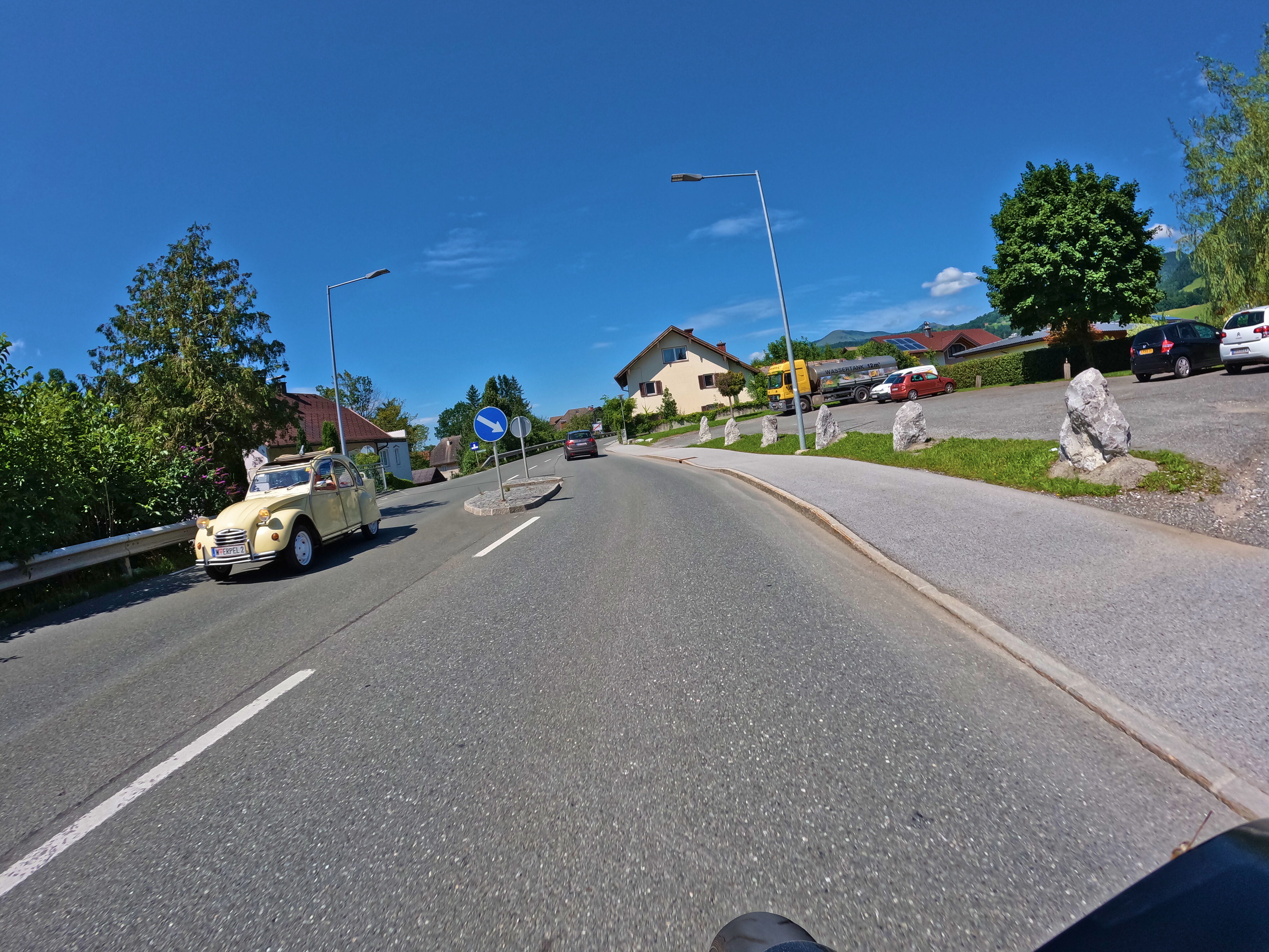 Keine Ente, ein Erpel