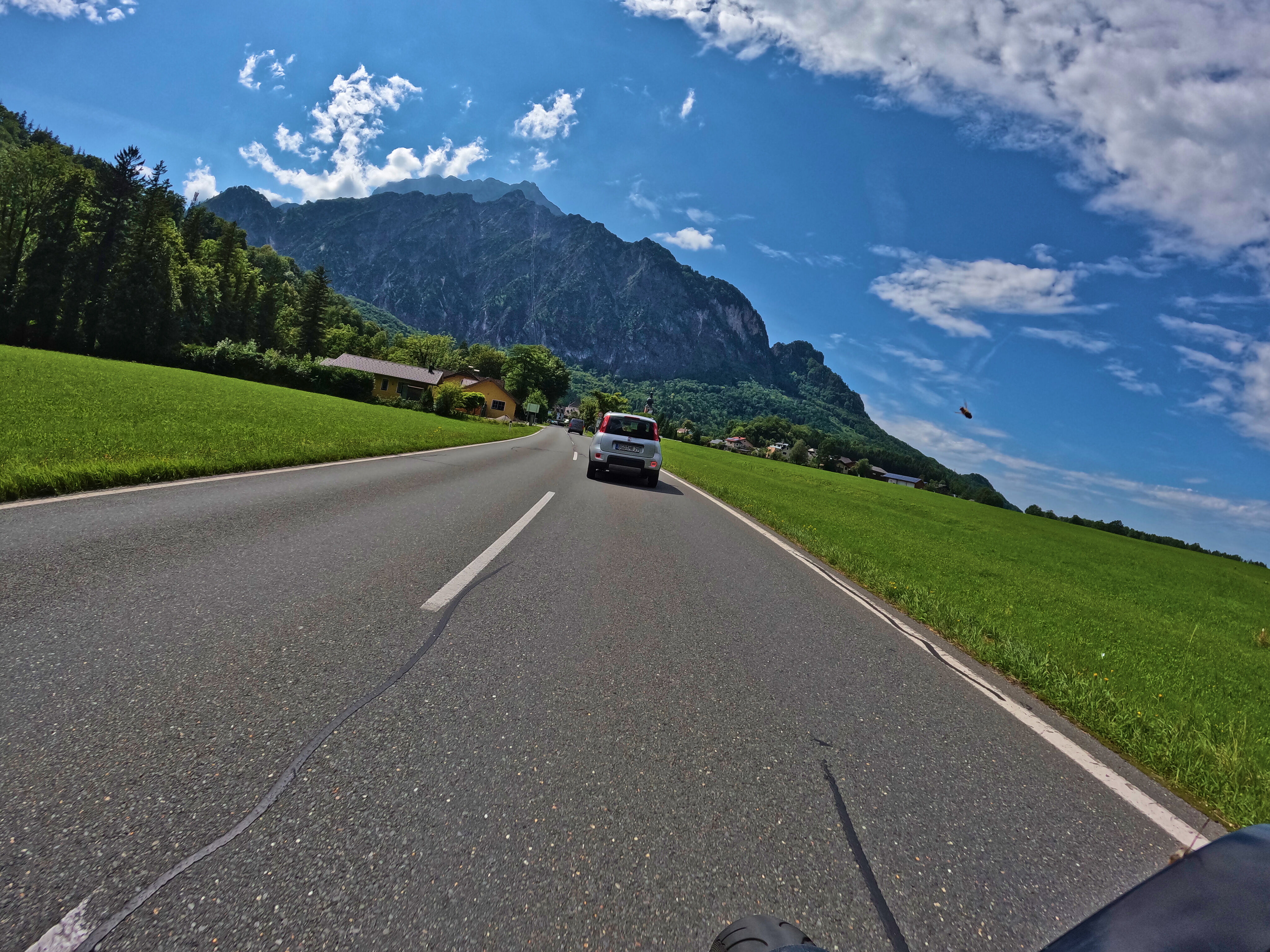 Groß, hinten: das Untersbergmassiv. Klein, rechts vorne: Ein Insekt im Ausweichflug