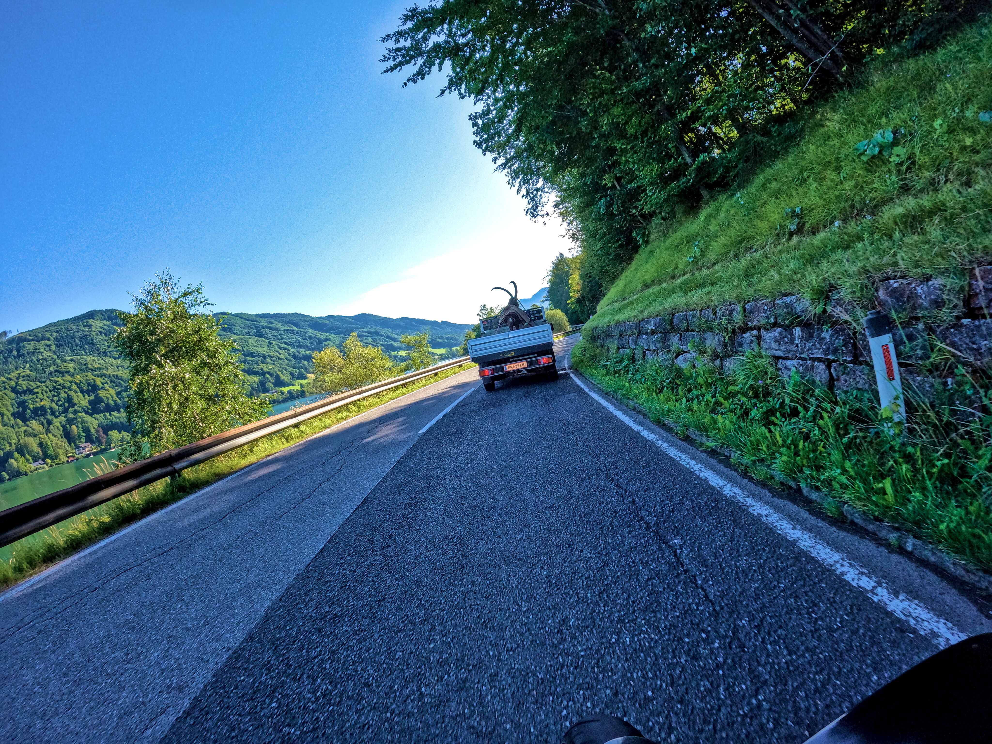 Ich dachte kurz, der wäre echt