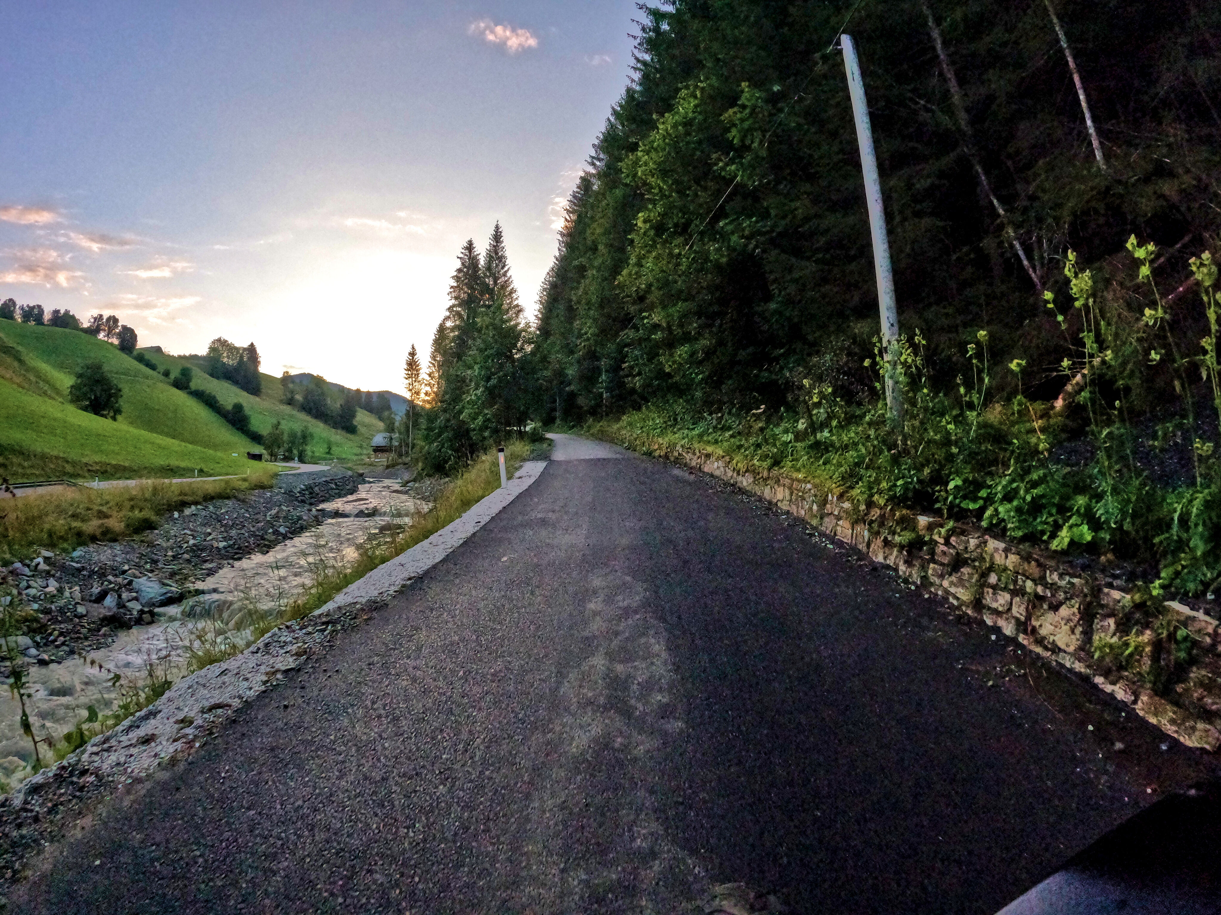 &hellip; der Sonne entgegen.