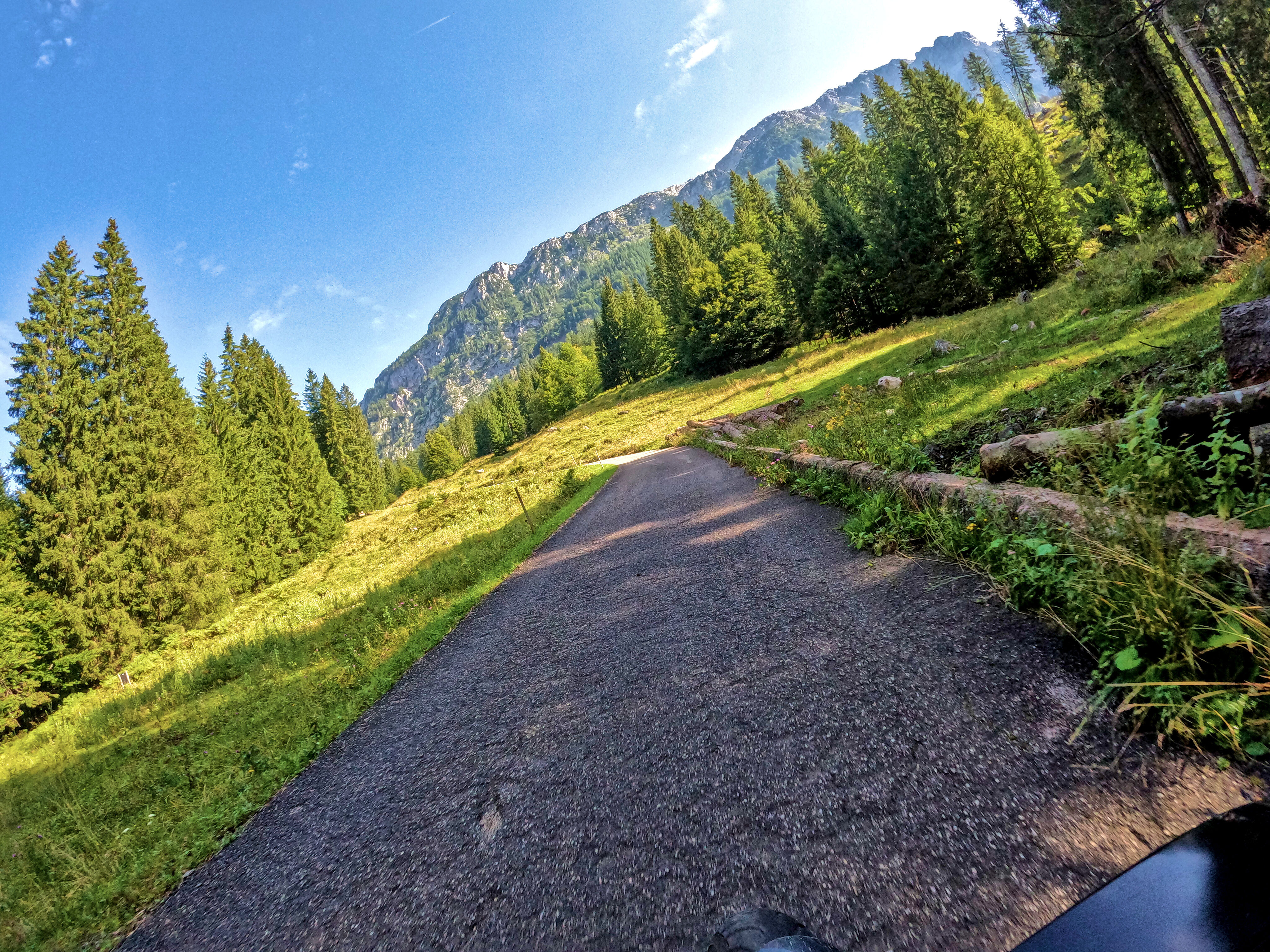 &hellip; über eine Lichtung &hellip;