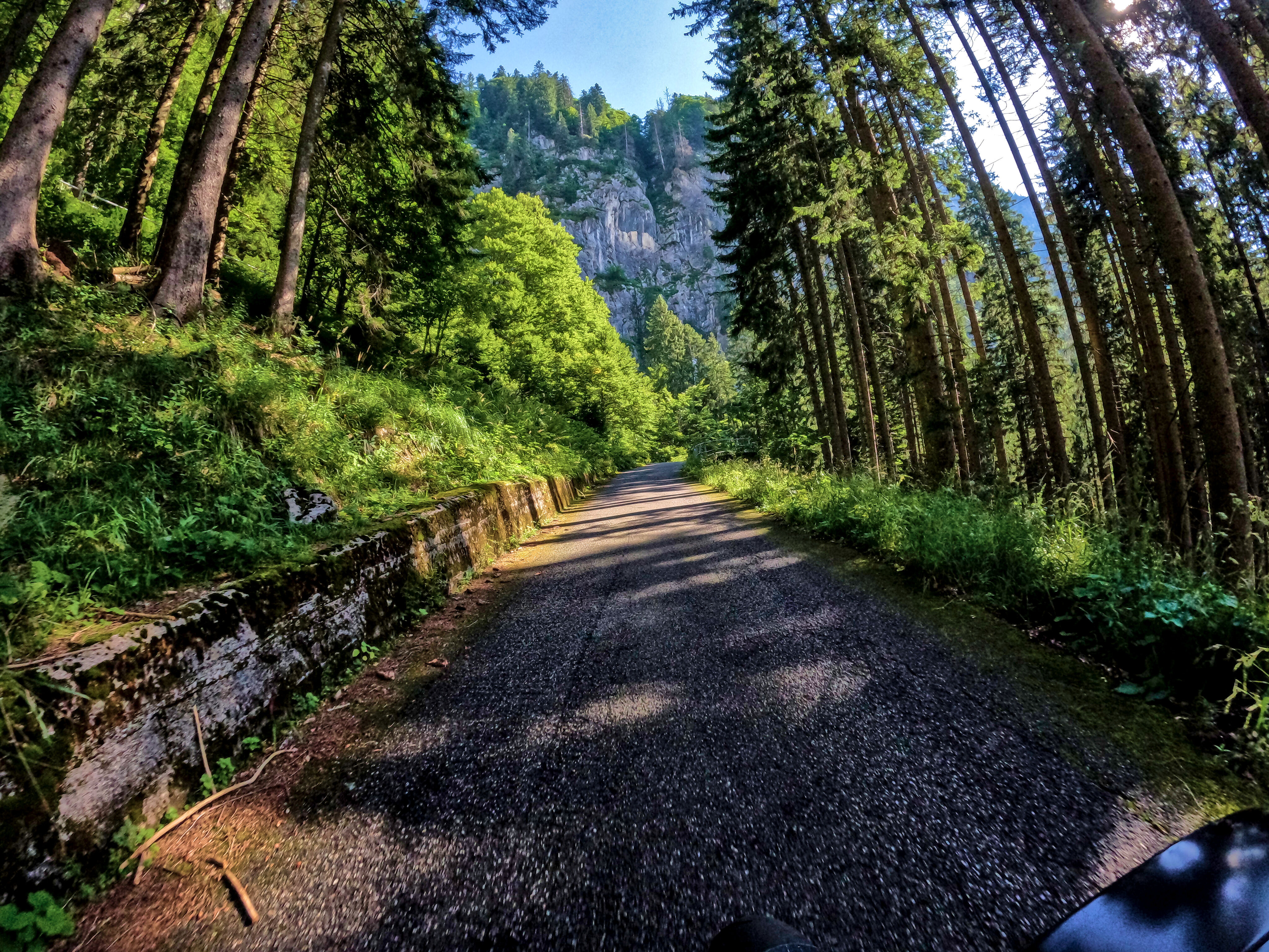 &hellip; weiter durch Wald.