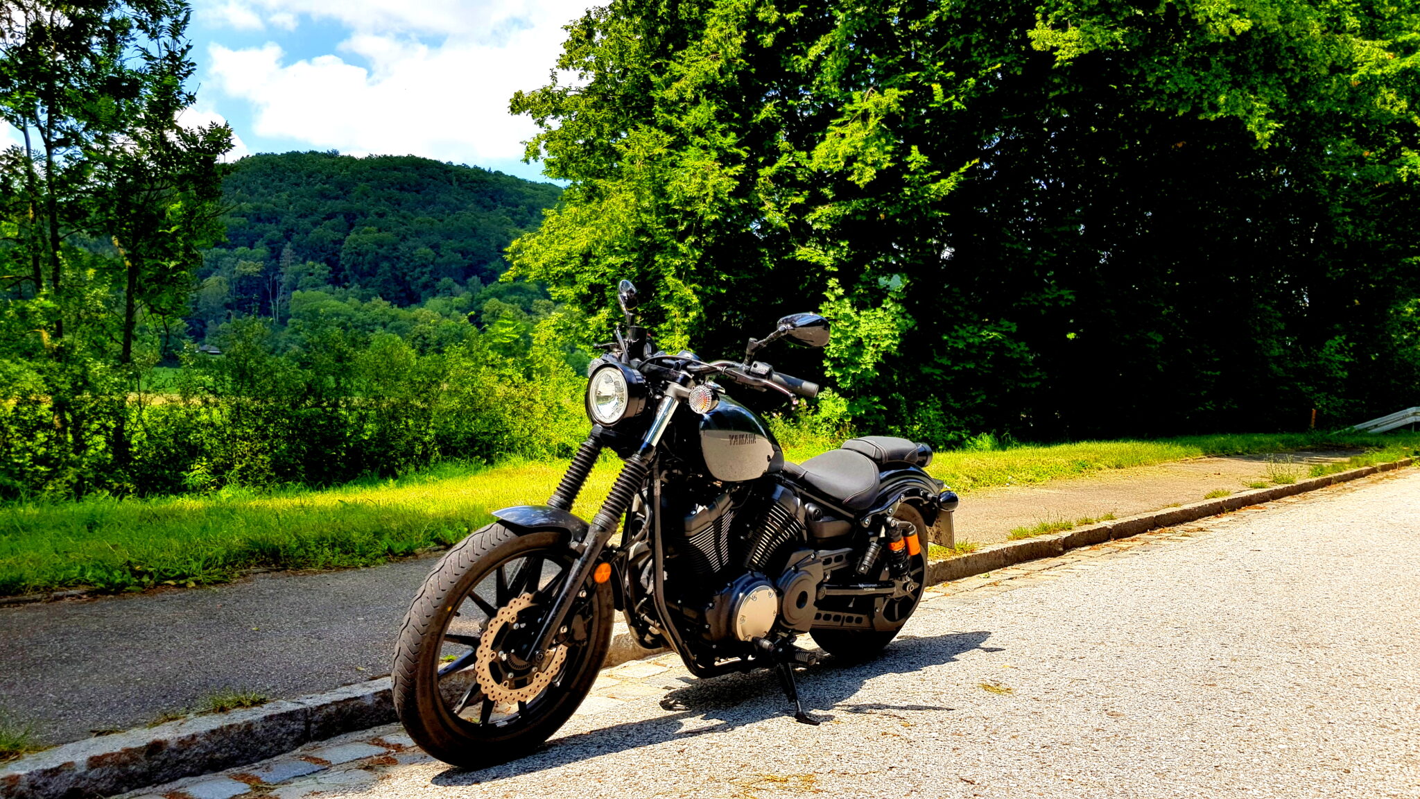 Im Vordergrund: Bolt, im Hintergrund (nicht zu sehen): die Altmühl