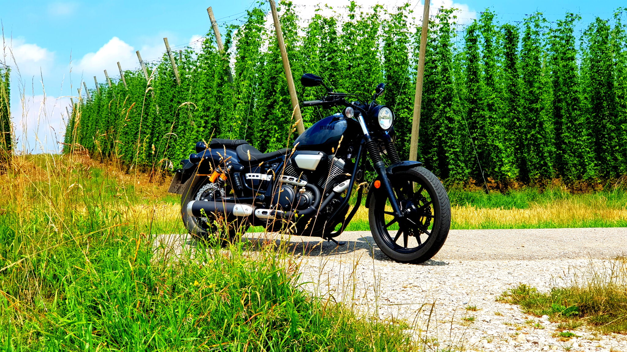 Bierfelder in der Holledau