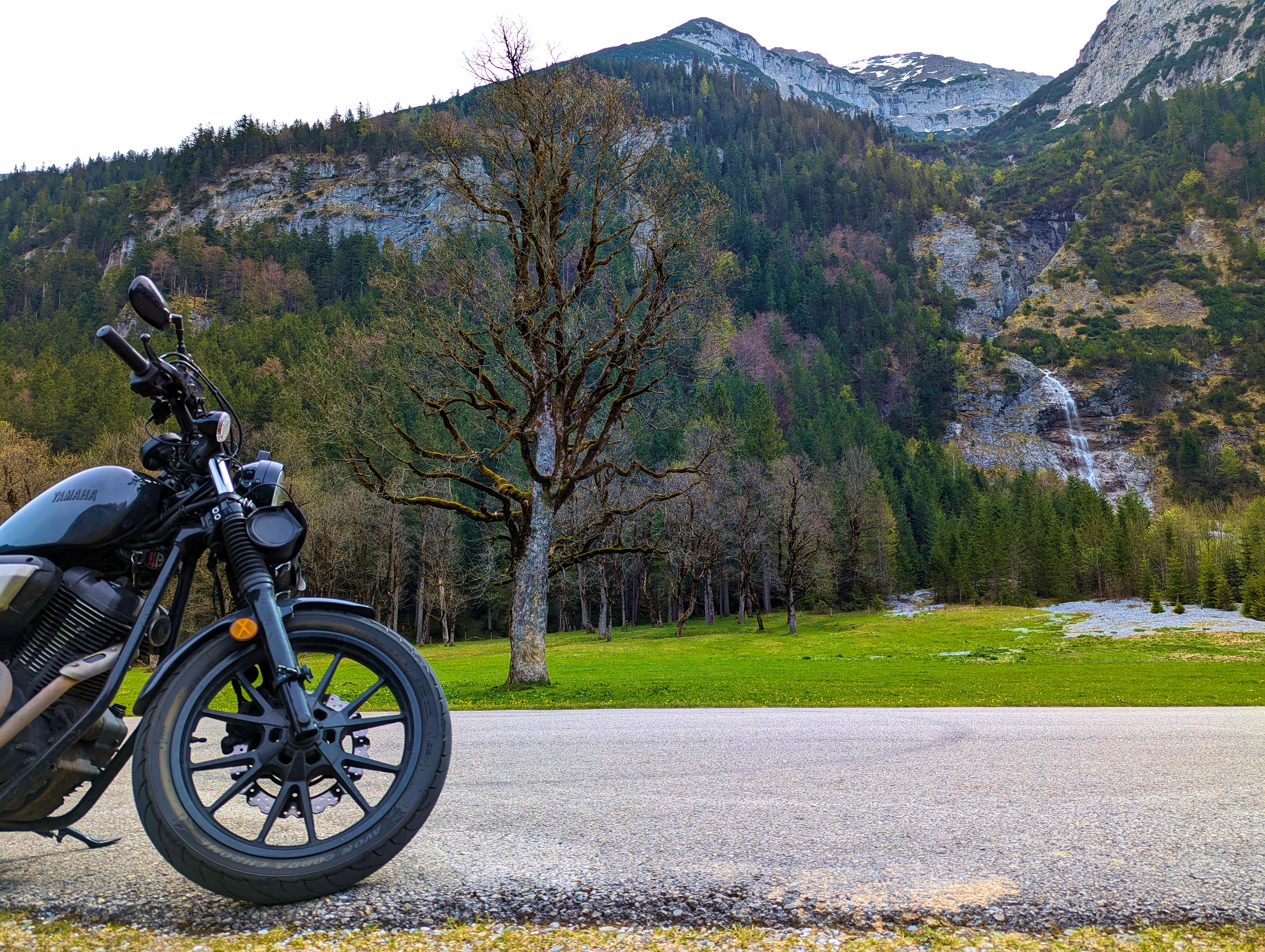 Bolt, Baum, Wasserfall