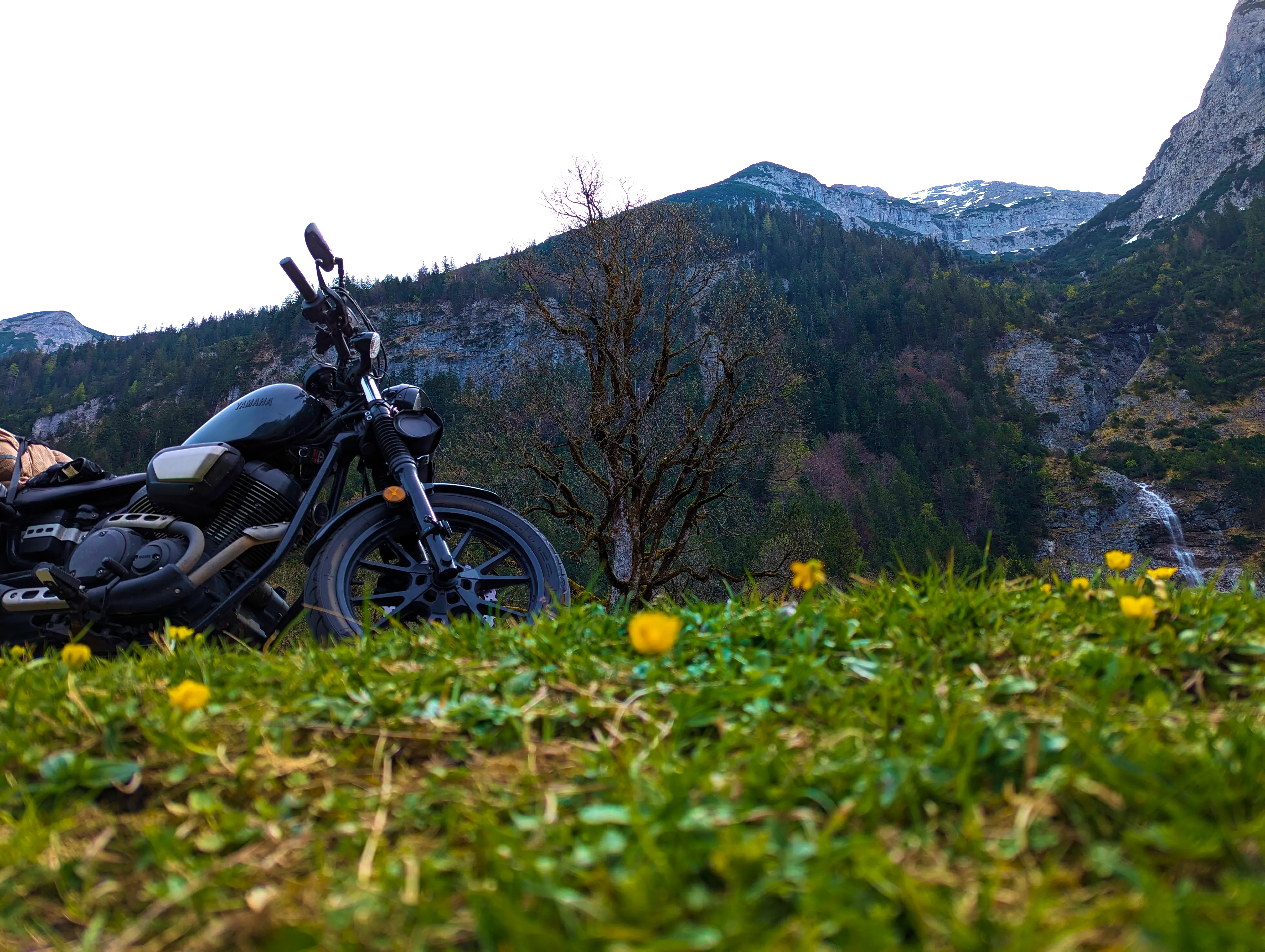 Wiese, Bolt, Baum, Wasserfall