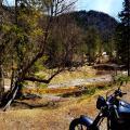 Am Anfang der Saison (2)