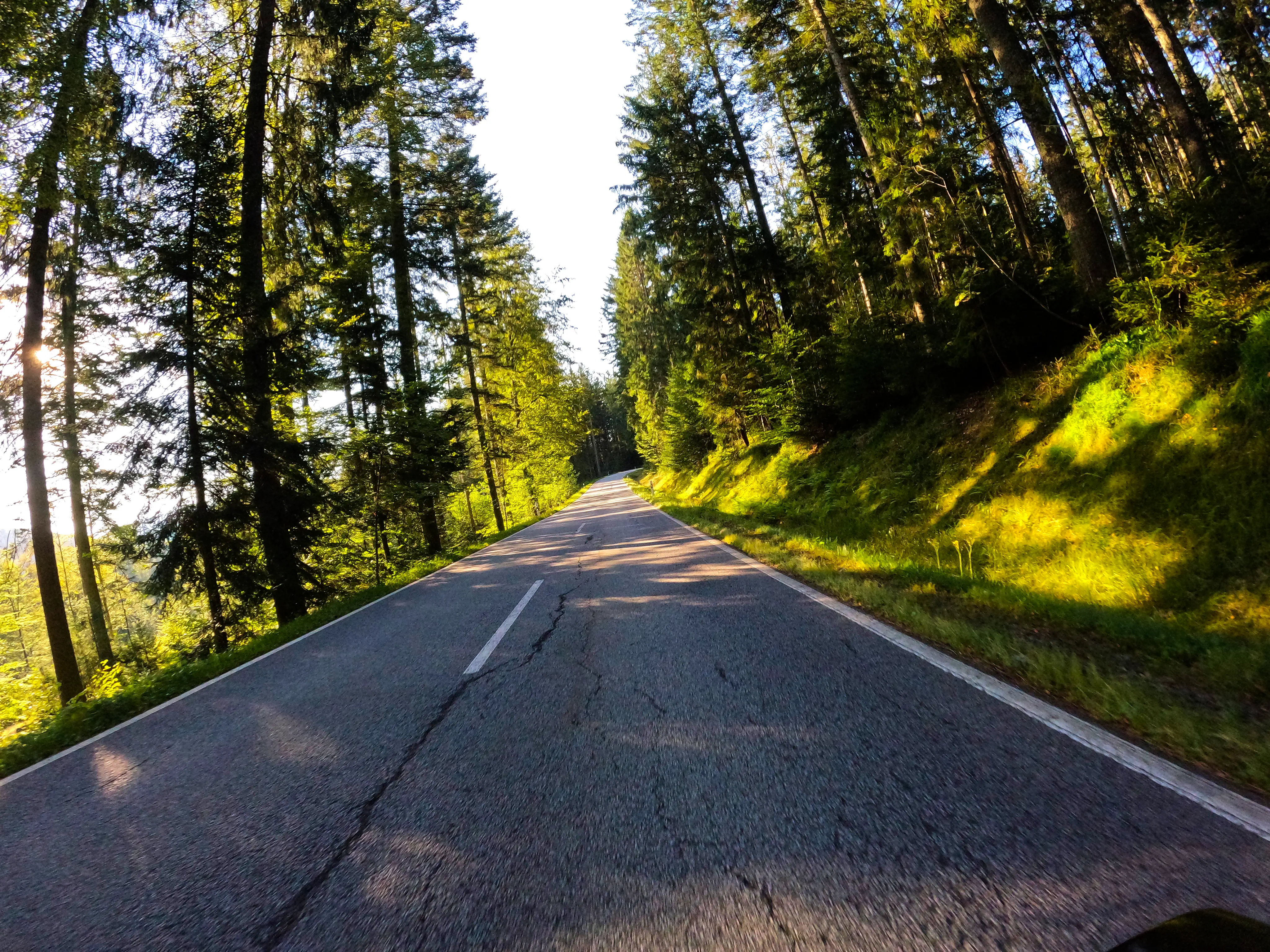 Schmale Straße durch grünen Wald