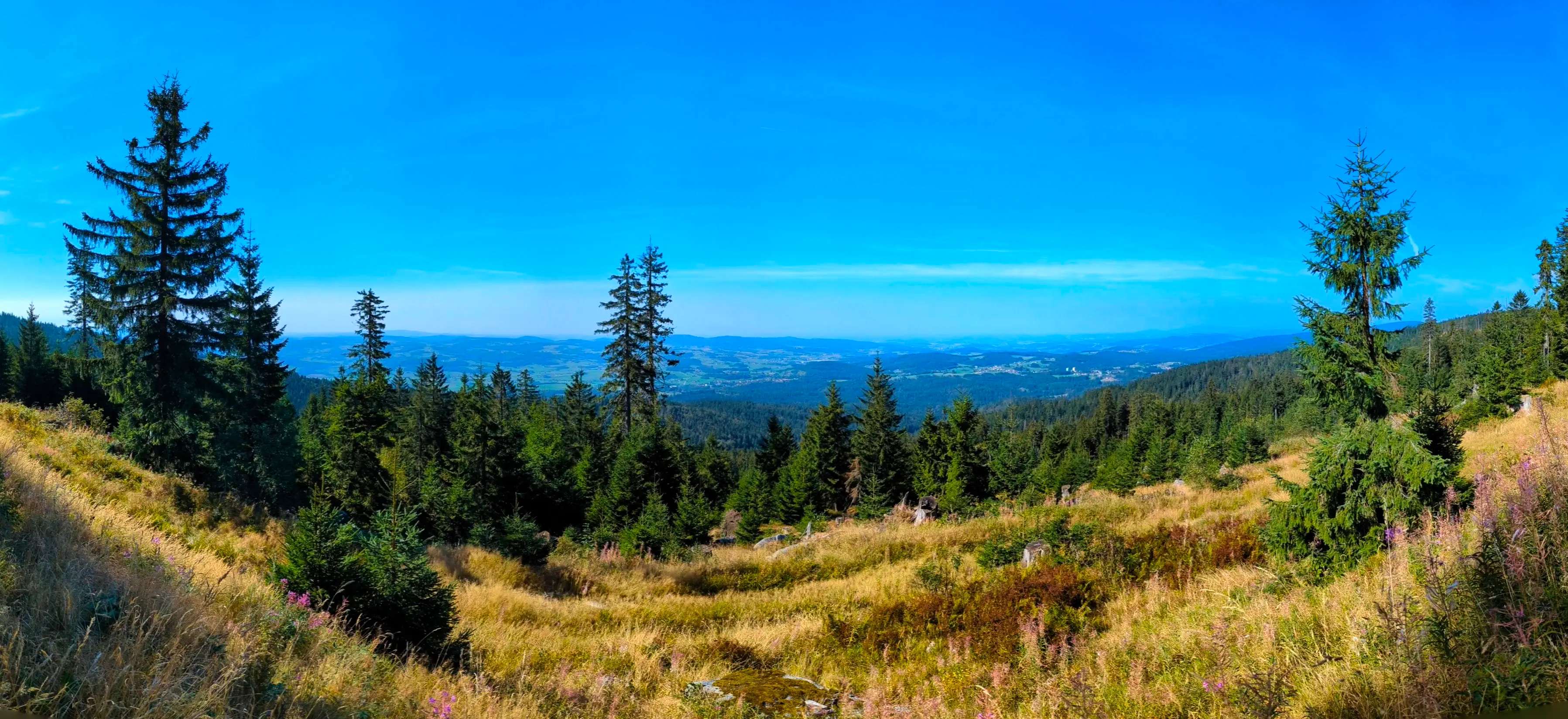 Ausblick Dreisesselberg
