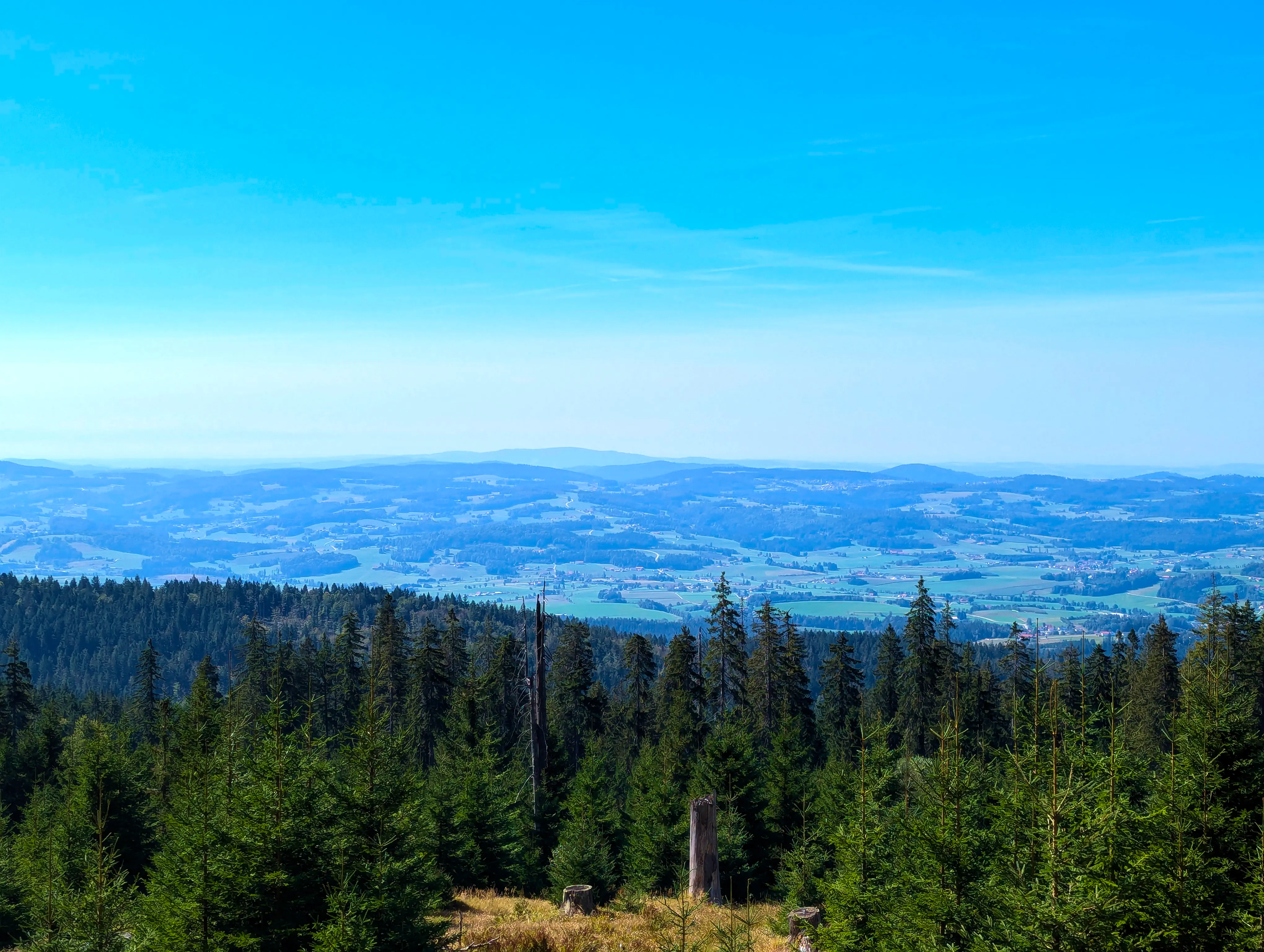 Ausblick Dreisesselberg