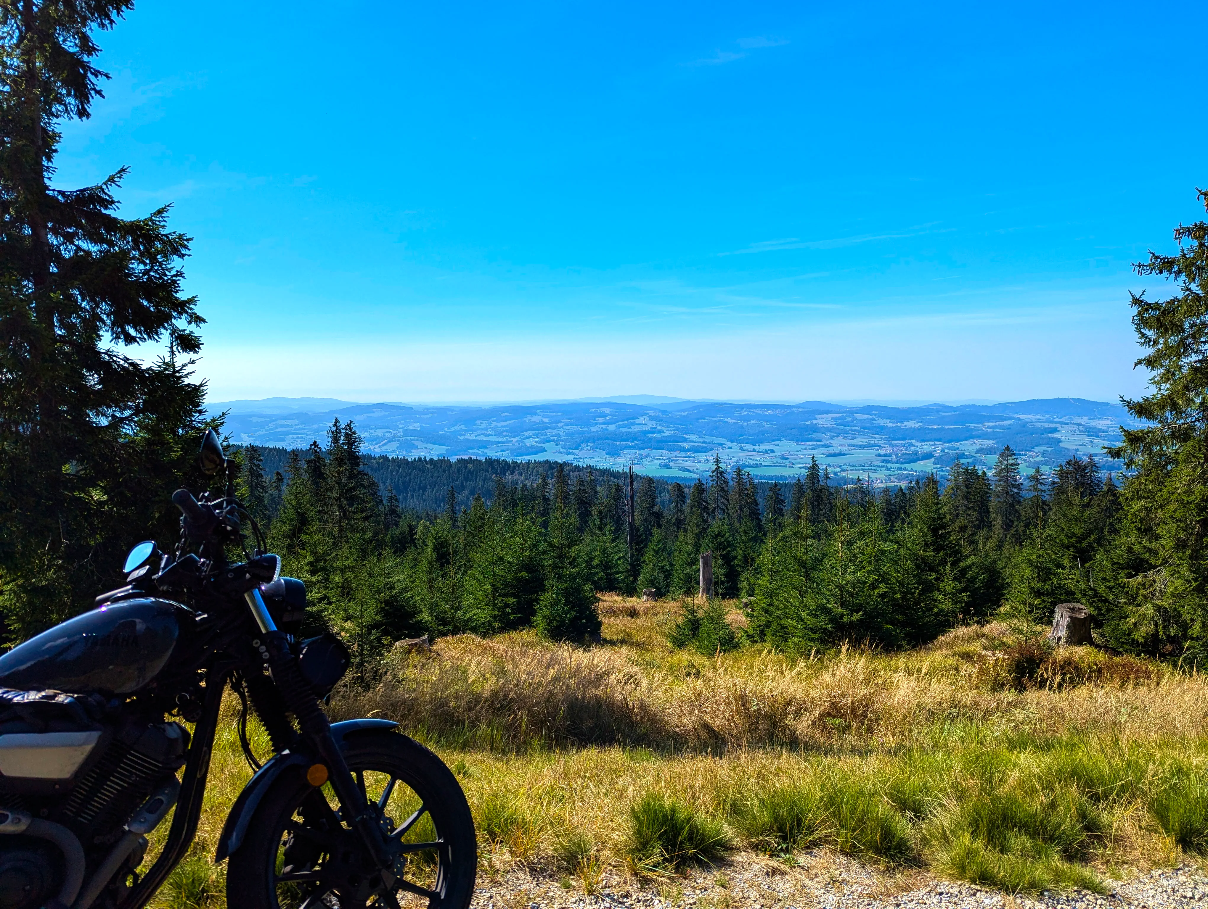 Ausblick Dreisesselberg