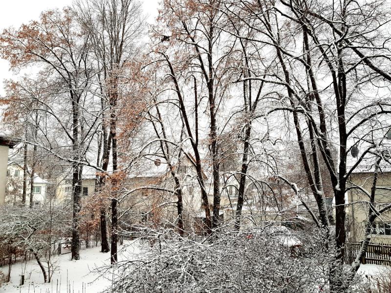 Featured image of post Blick aus dem Fenster, Nummer 2