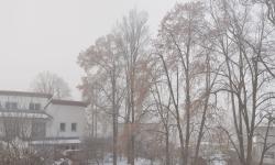 Featured image of post Blick aus dem Fenster