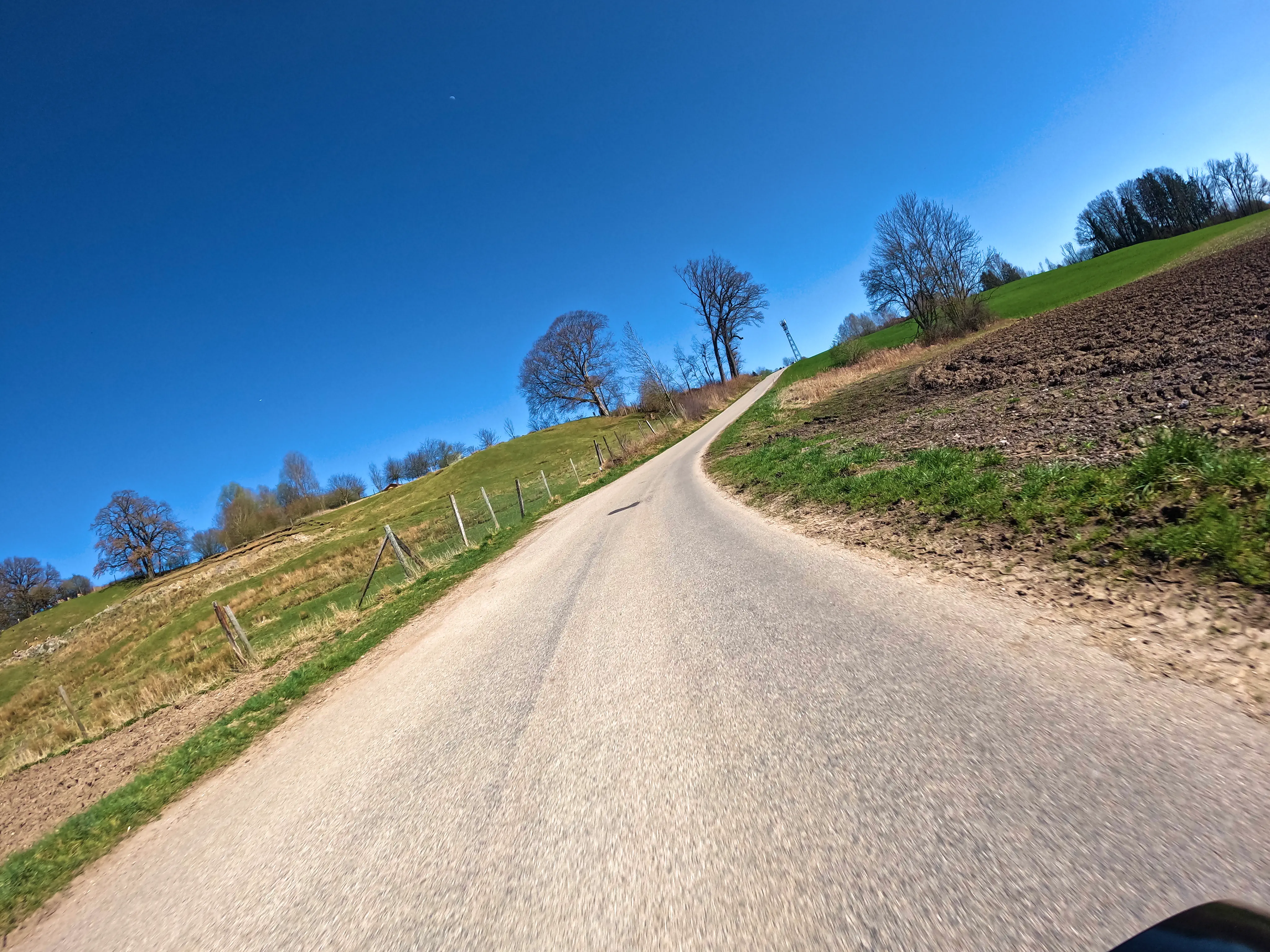 &hellip; etwas kahl.