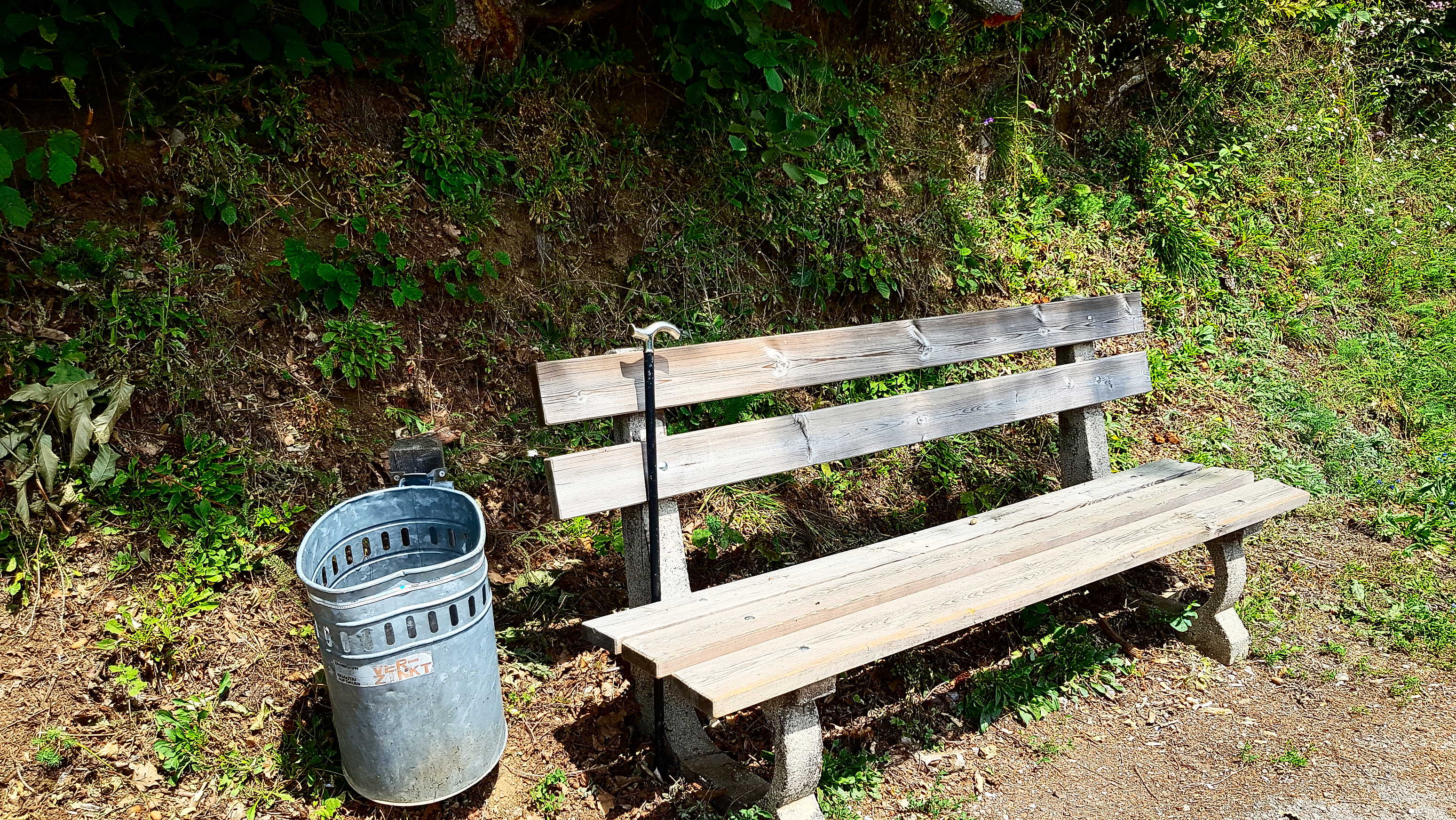 Wer hat hier wohl seinen Gehstock vergessen?