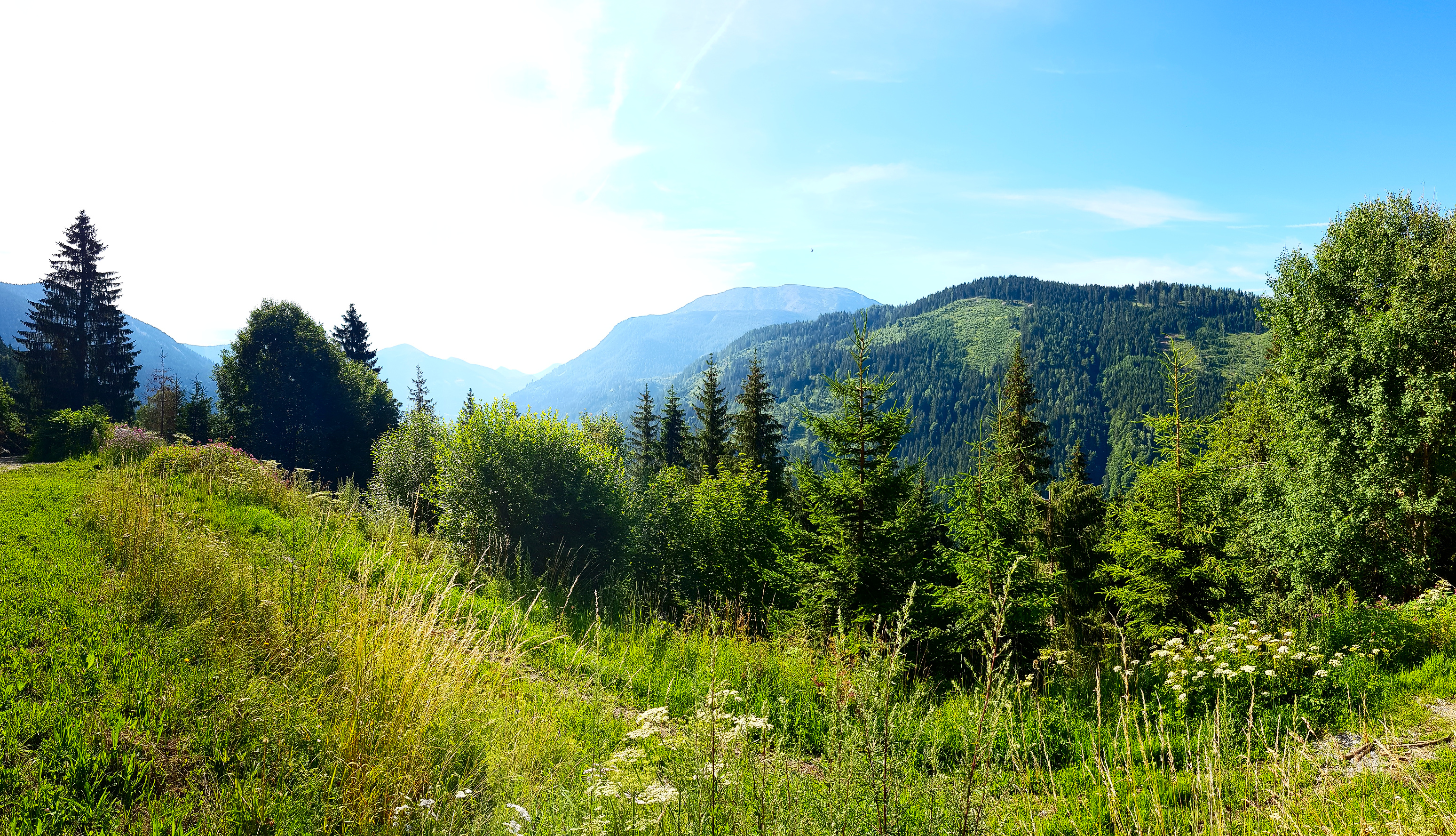 Aussicht am Punkt Vorberg