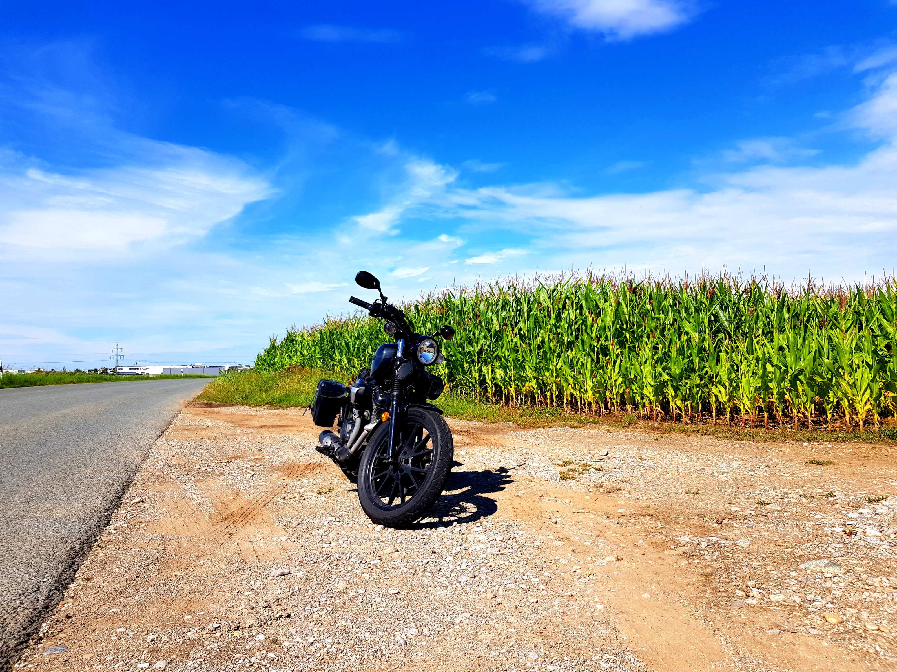 Vorbei an Maisfeldern