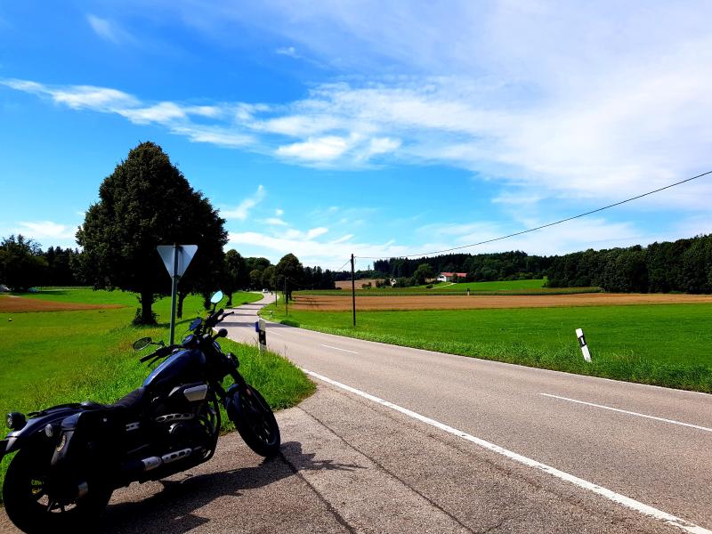 Featured image of post Boing, Fleck und Erdbeerberg