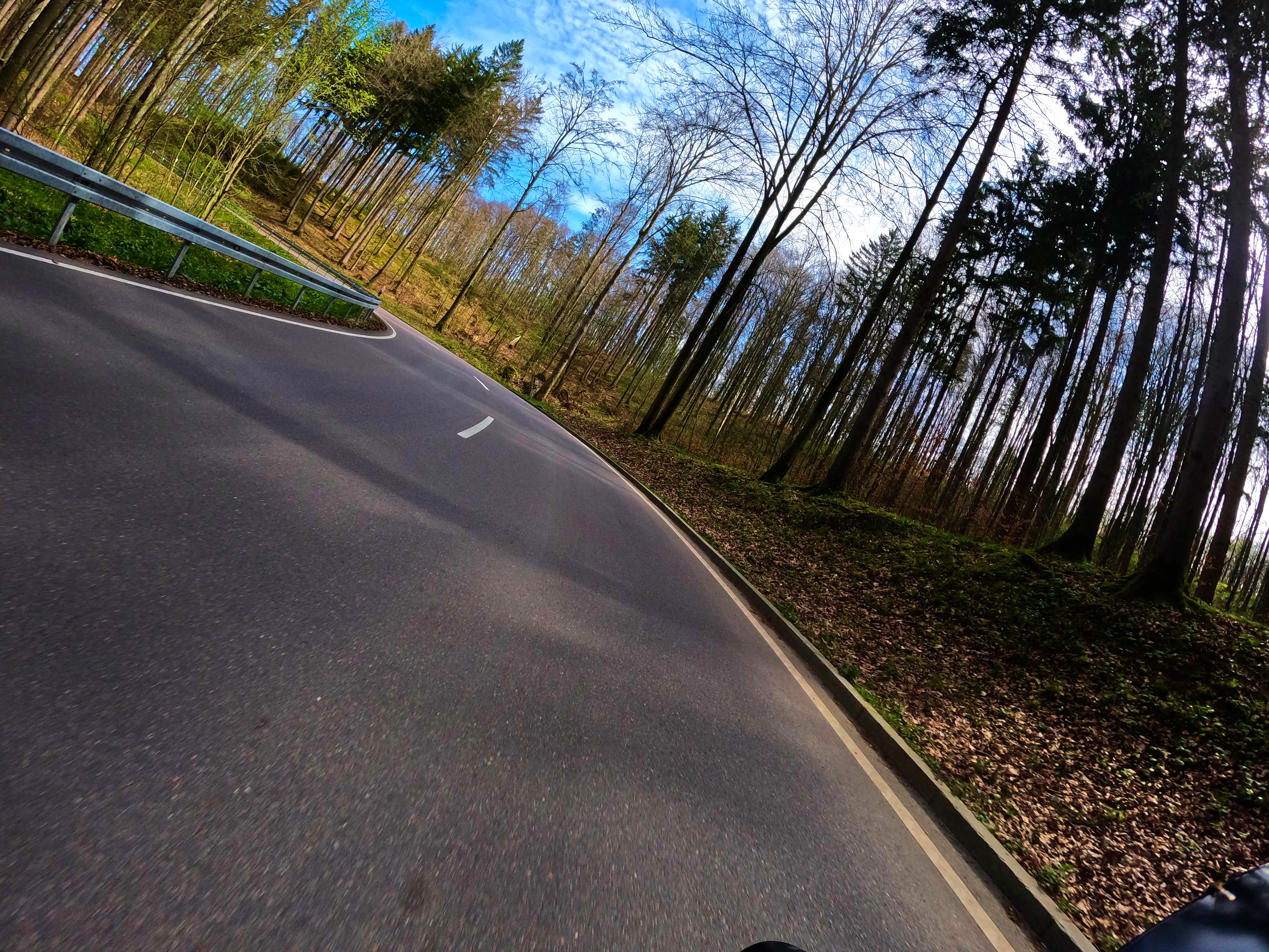 Durch waldiges Gebiet