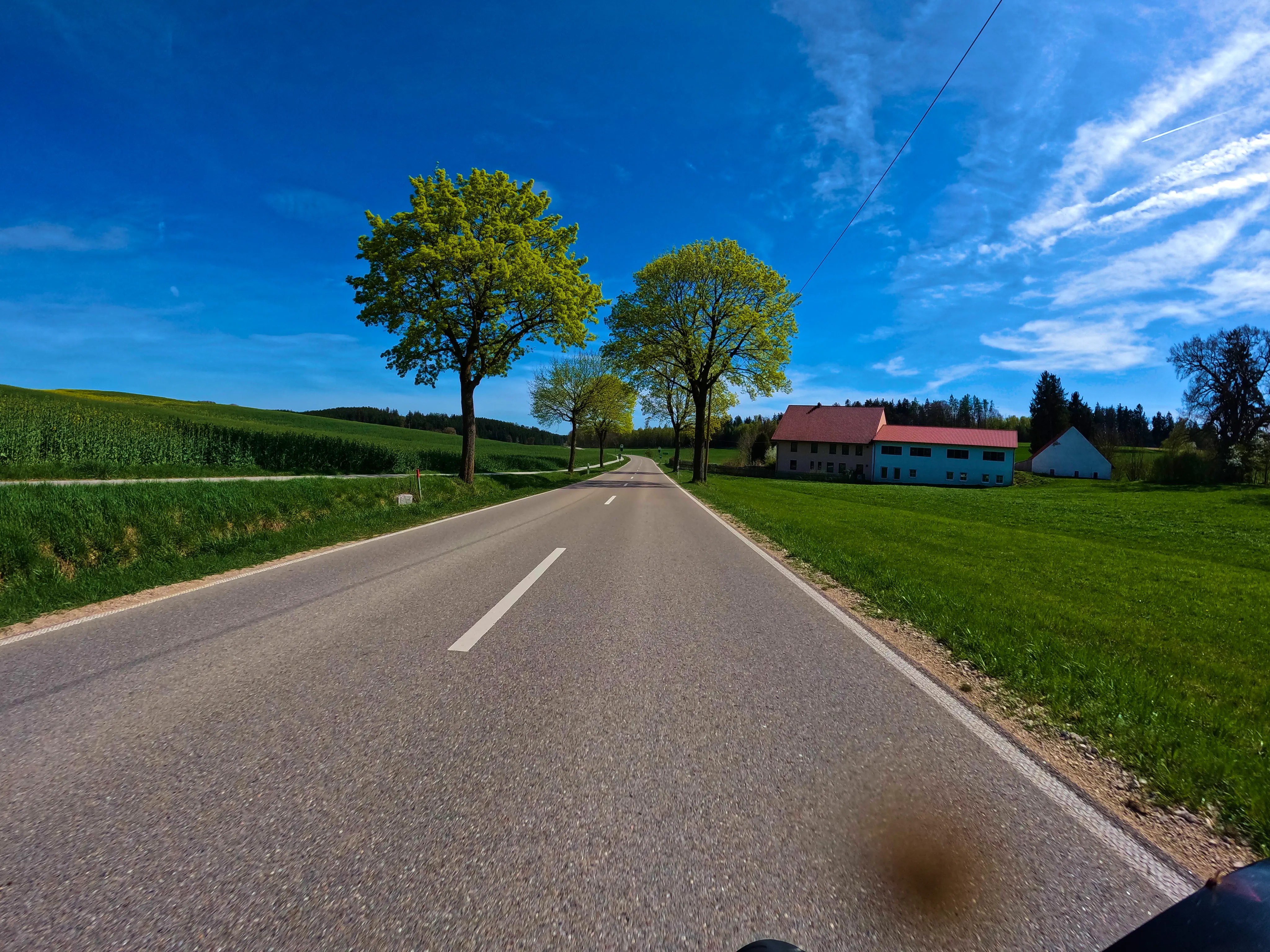 Der Frühling kommt!