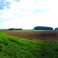 Der Herbst zeigt sich langsam