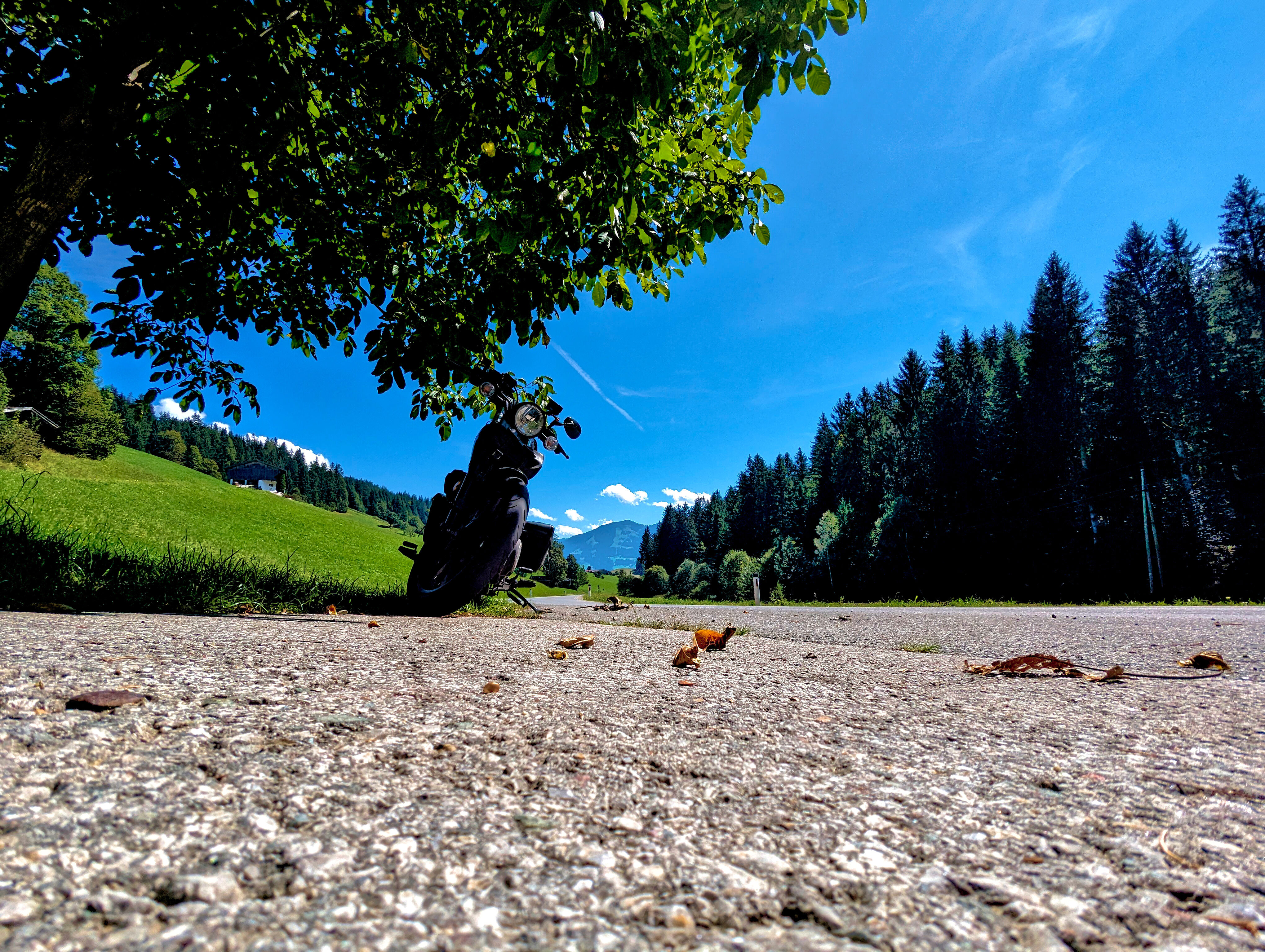 &hellip; unterm Baum.