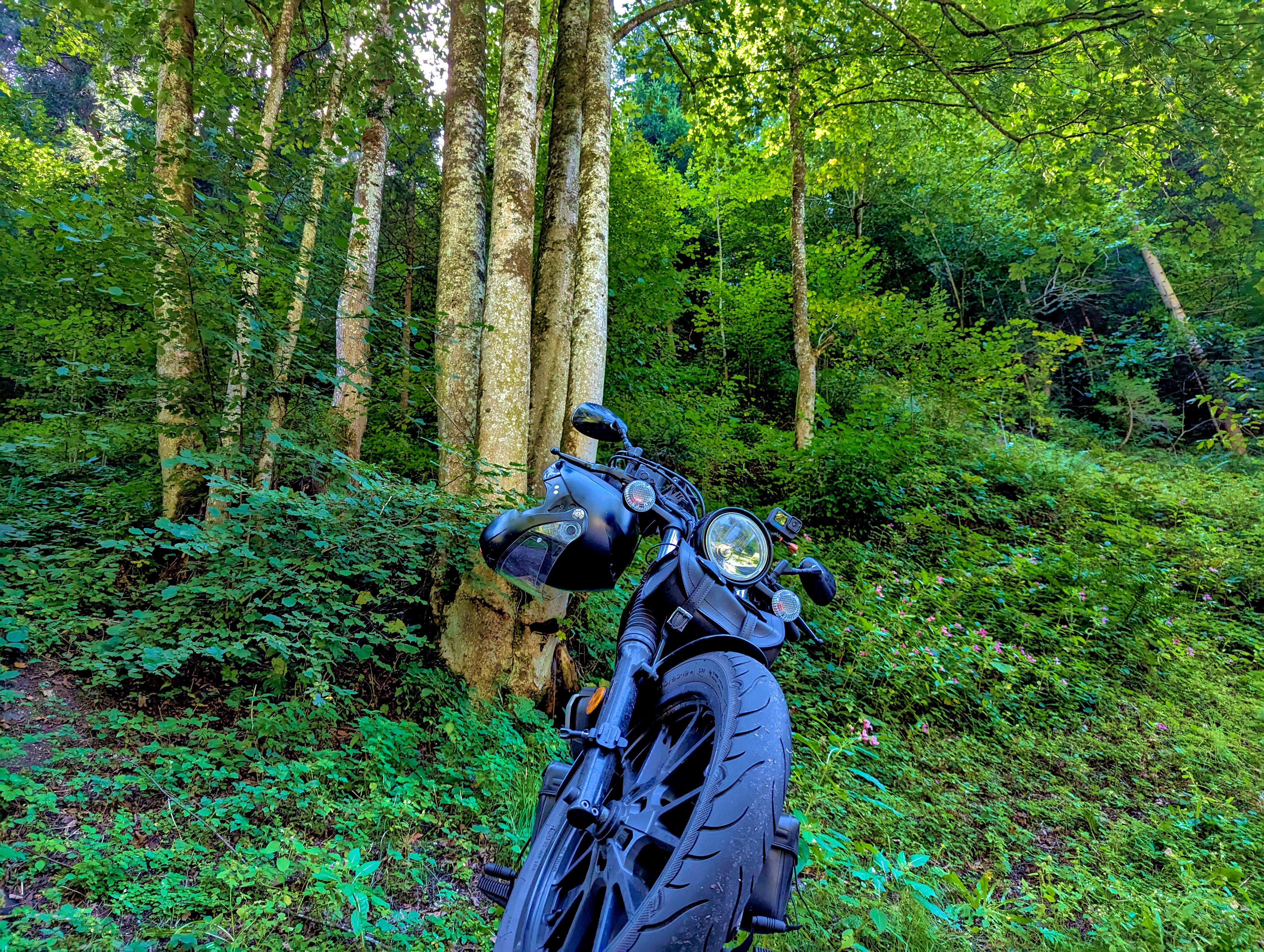 An der L206, zwischen Hopfgarten und Itter