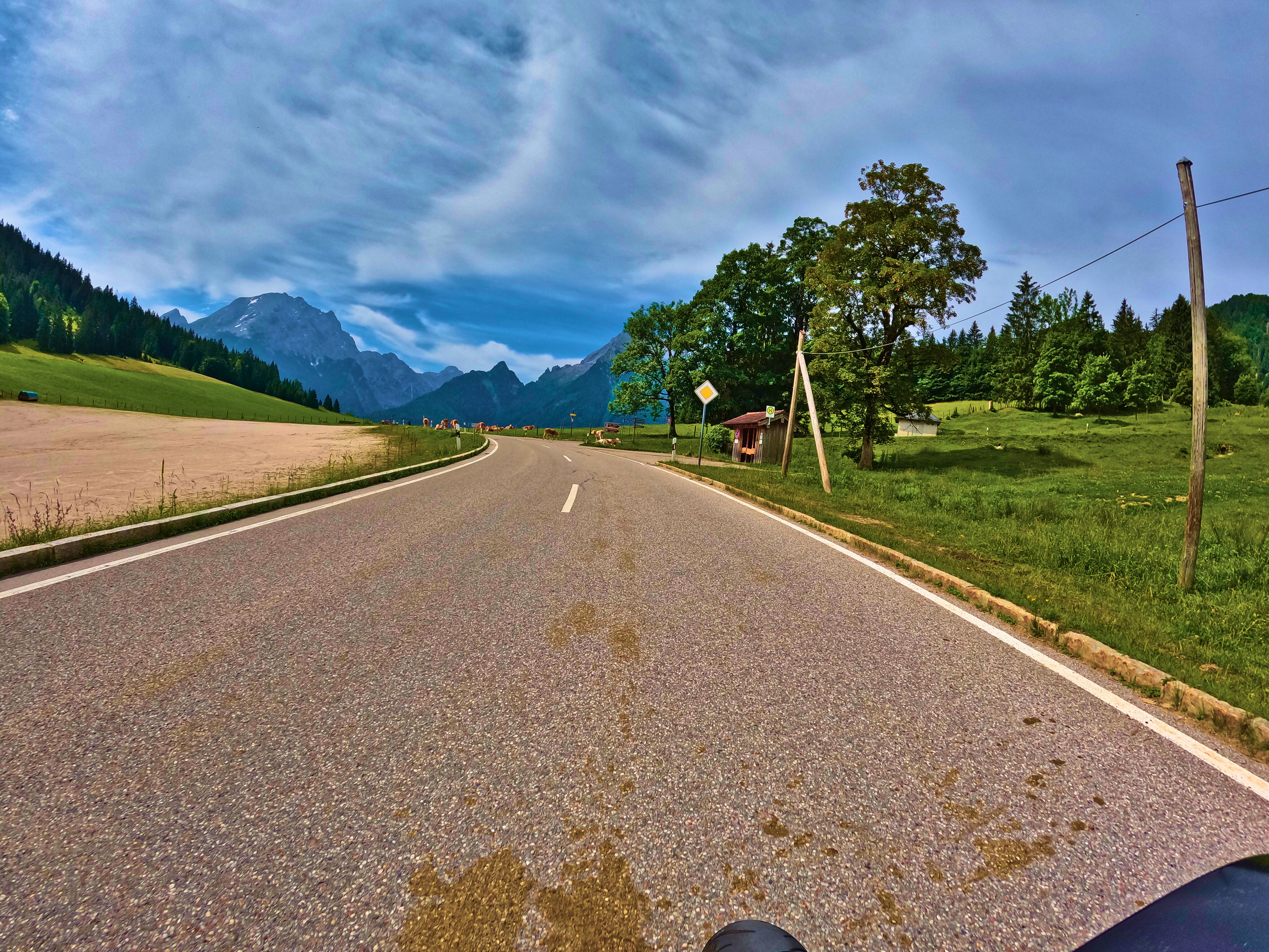 Kuhhinterlassenschaften &hellip;