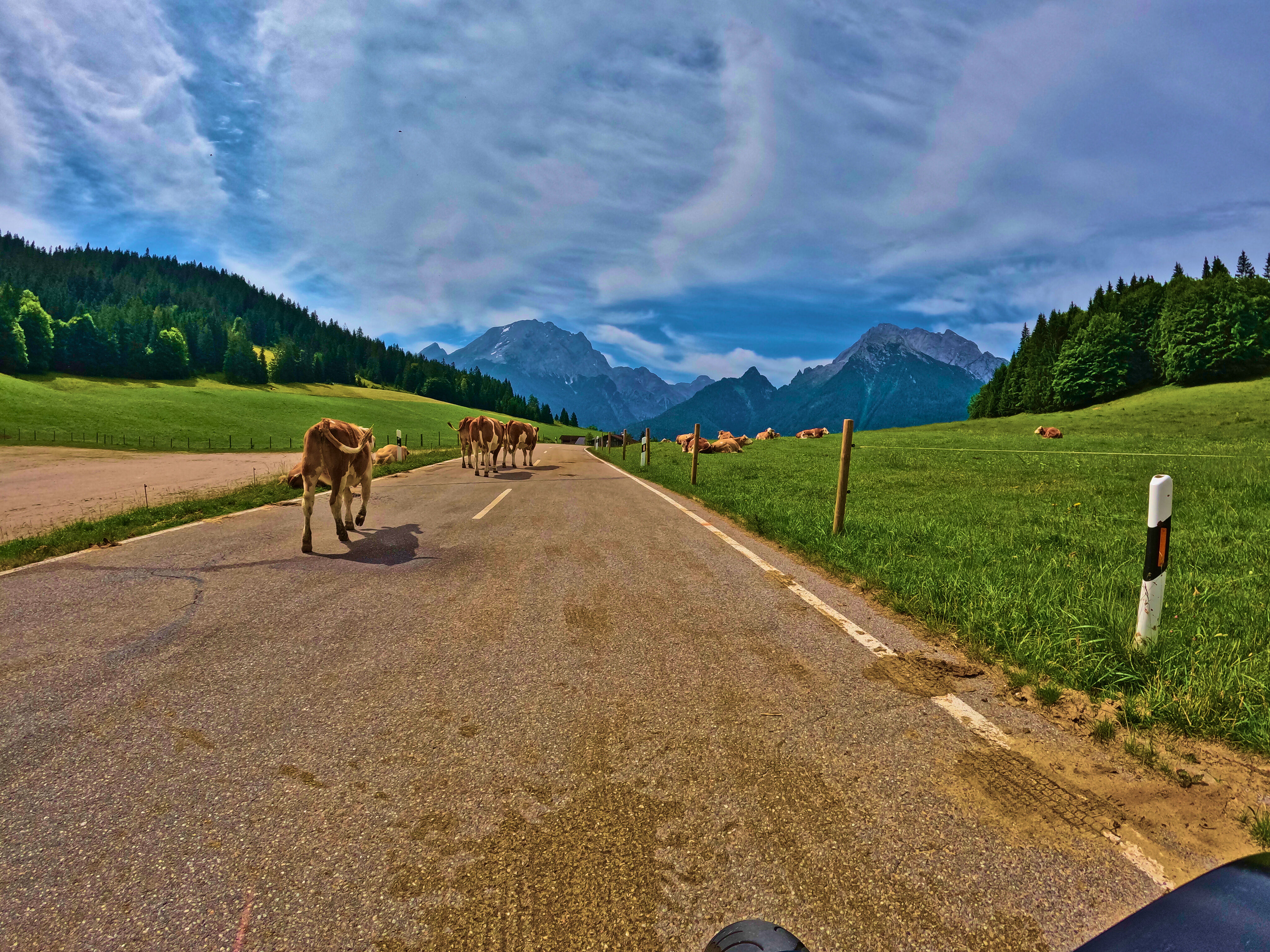 &hellip; Verursacher.