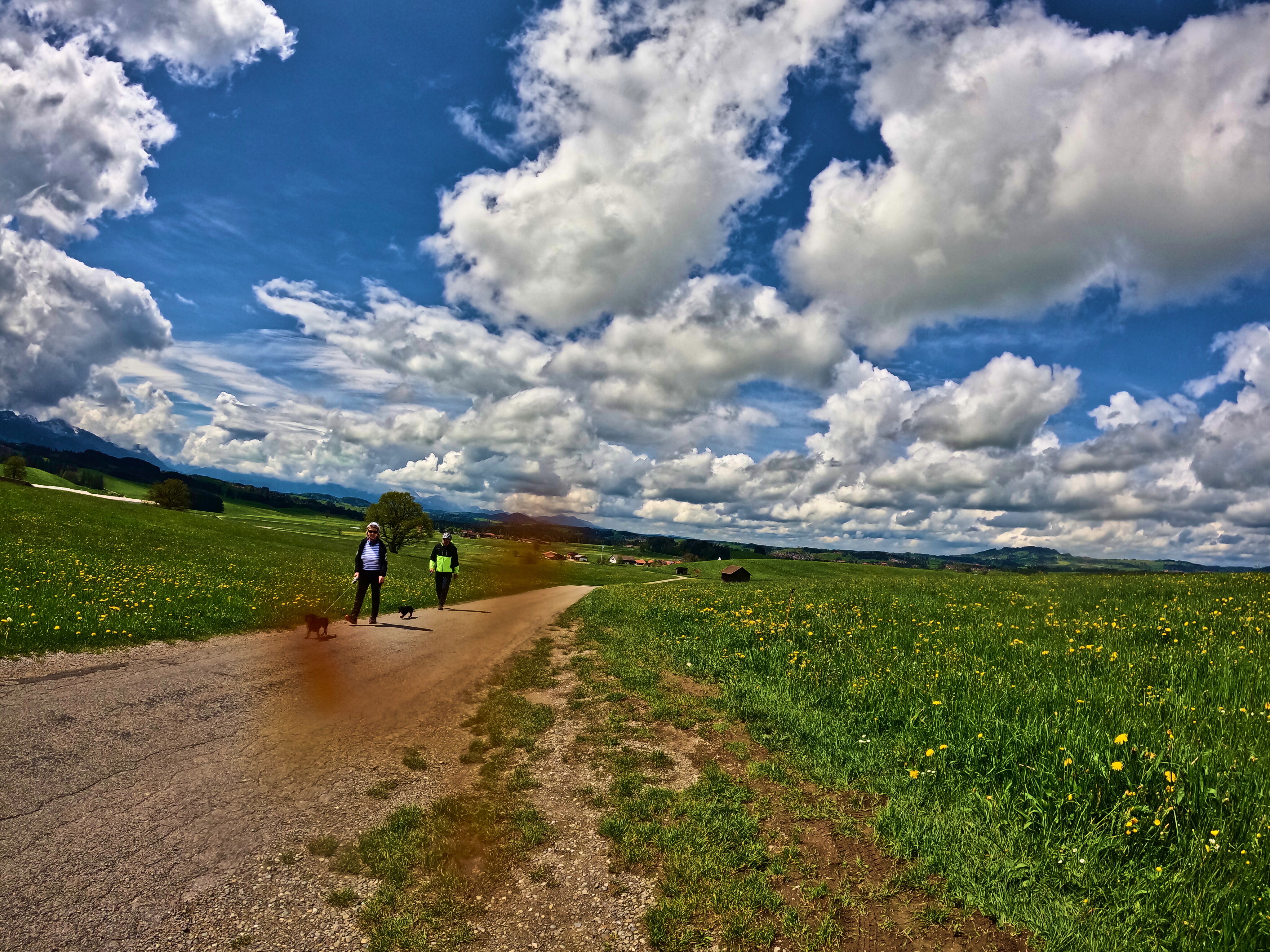 Alles für den Dackel!